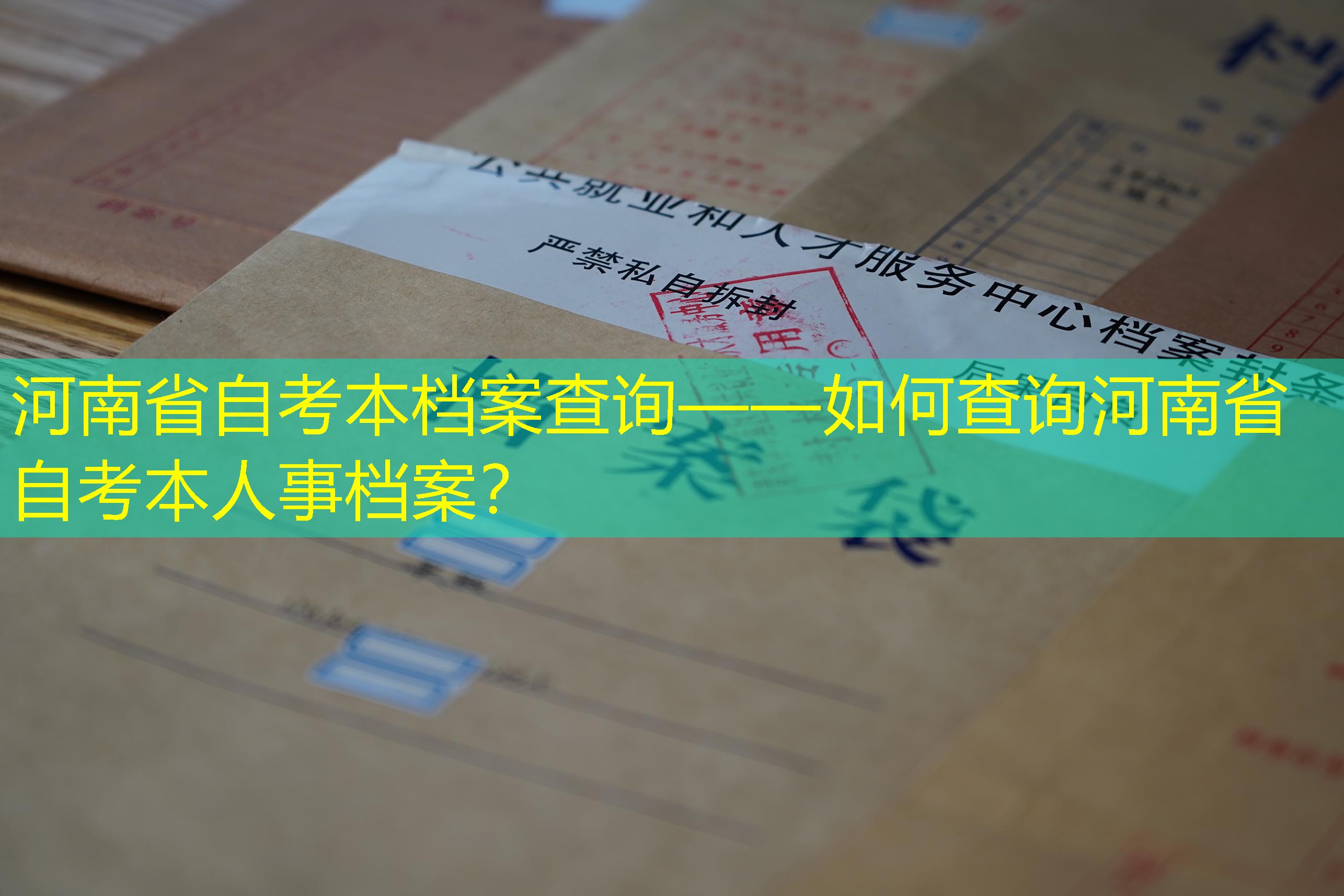 档案查询