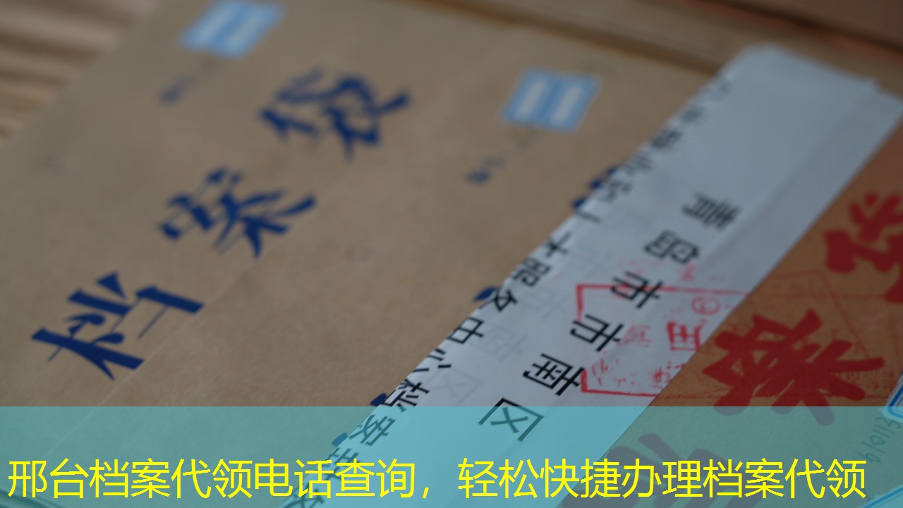 档案查询