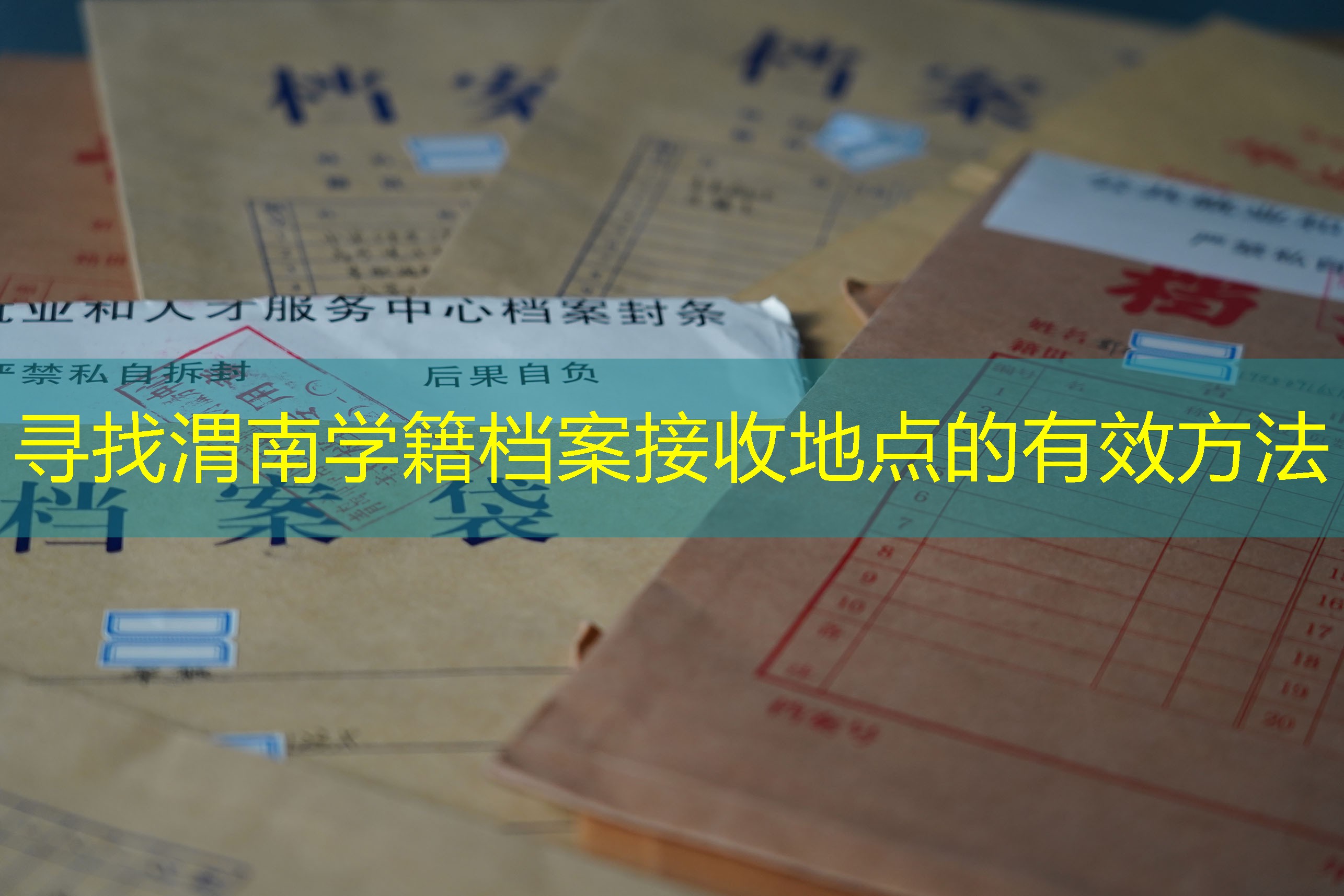 档案查询