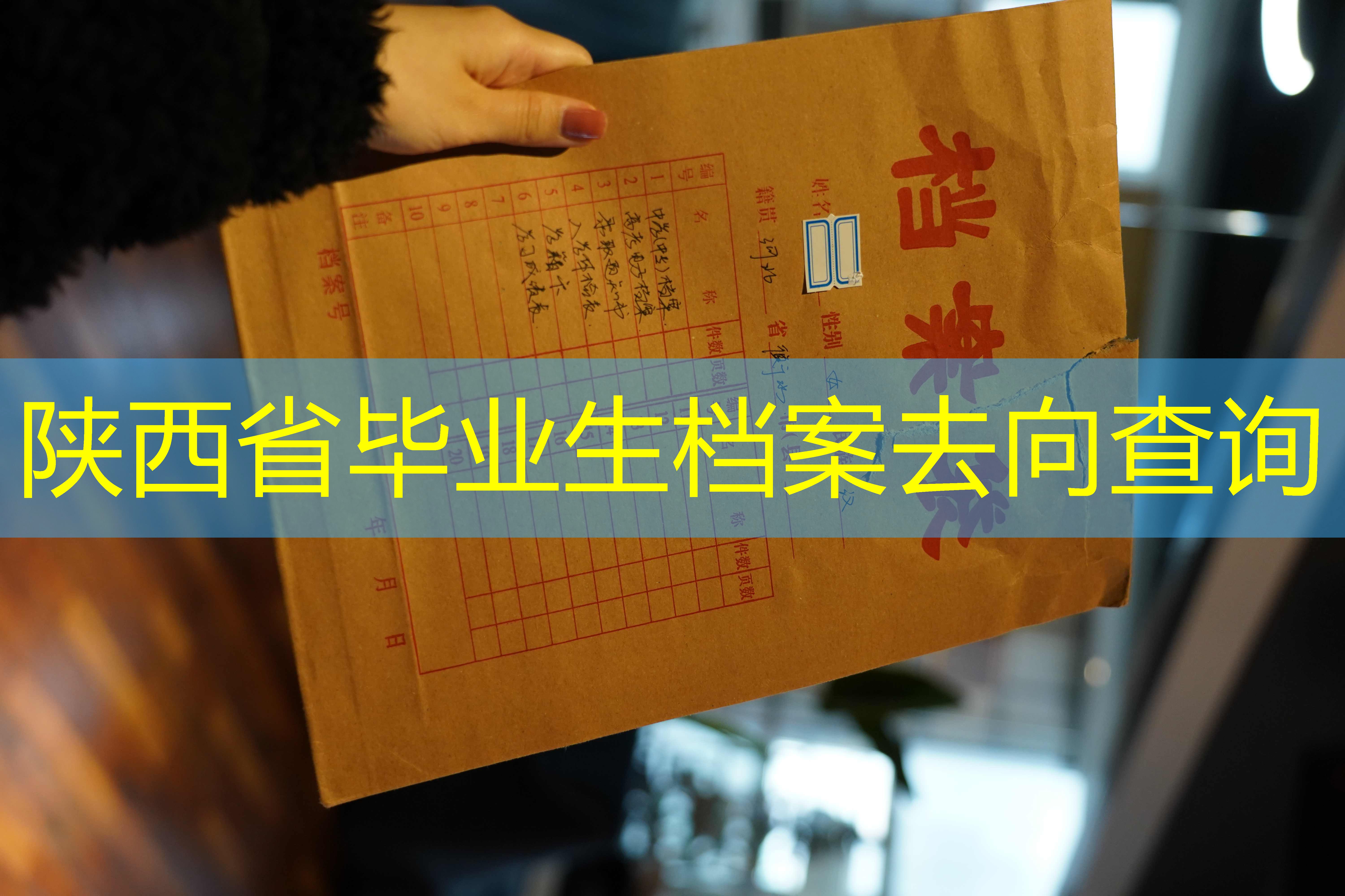 档案查询