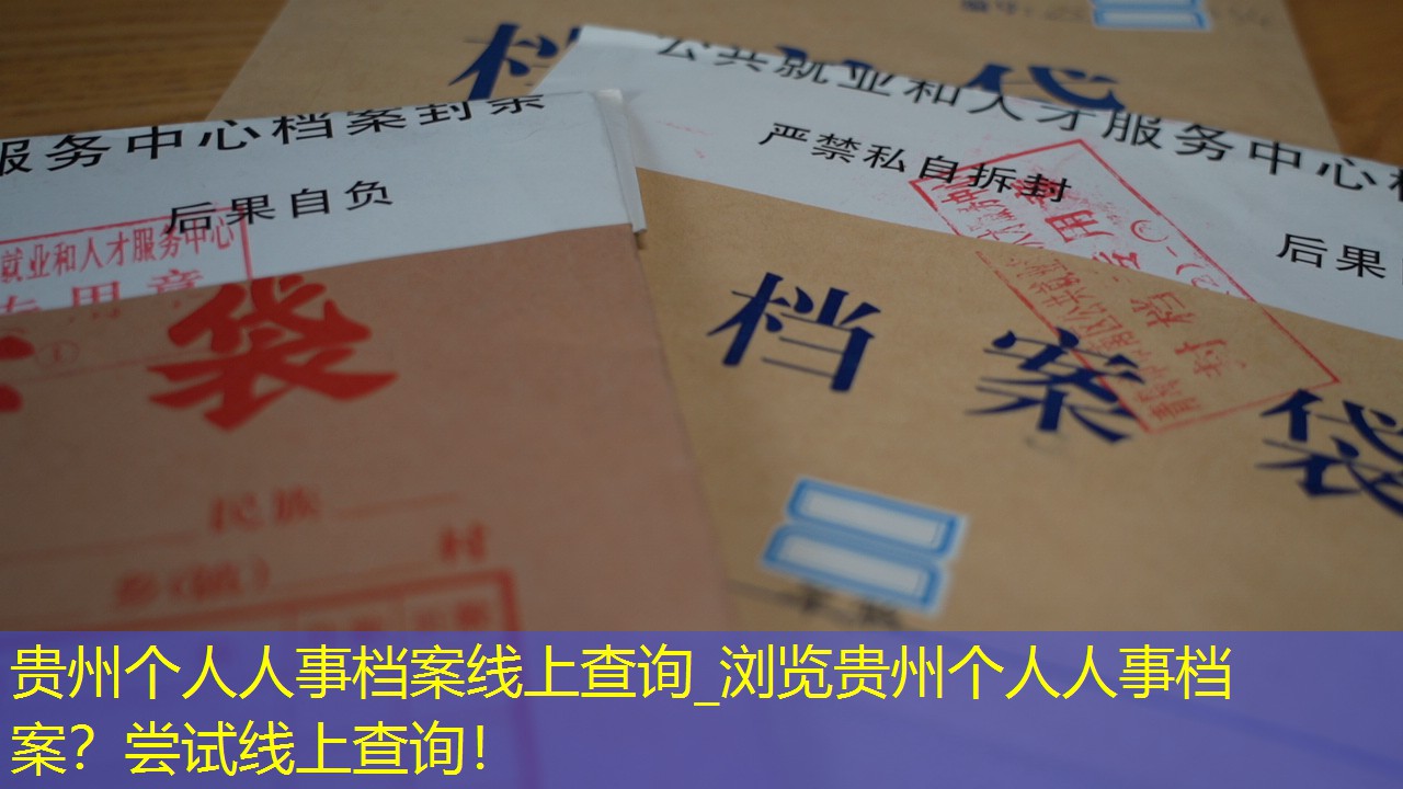 档案查询
