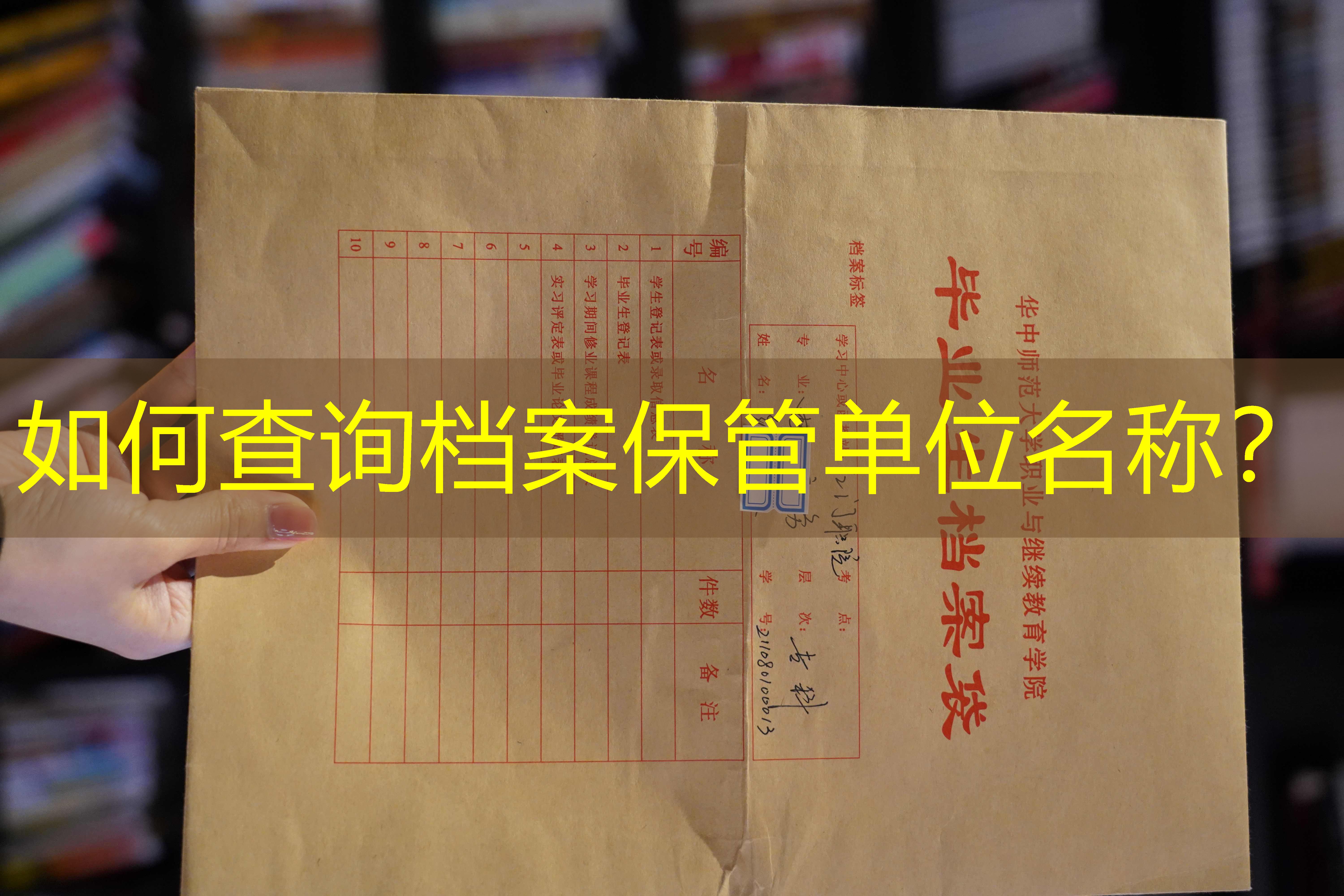 档案查询