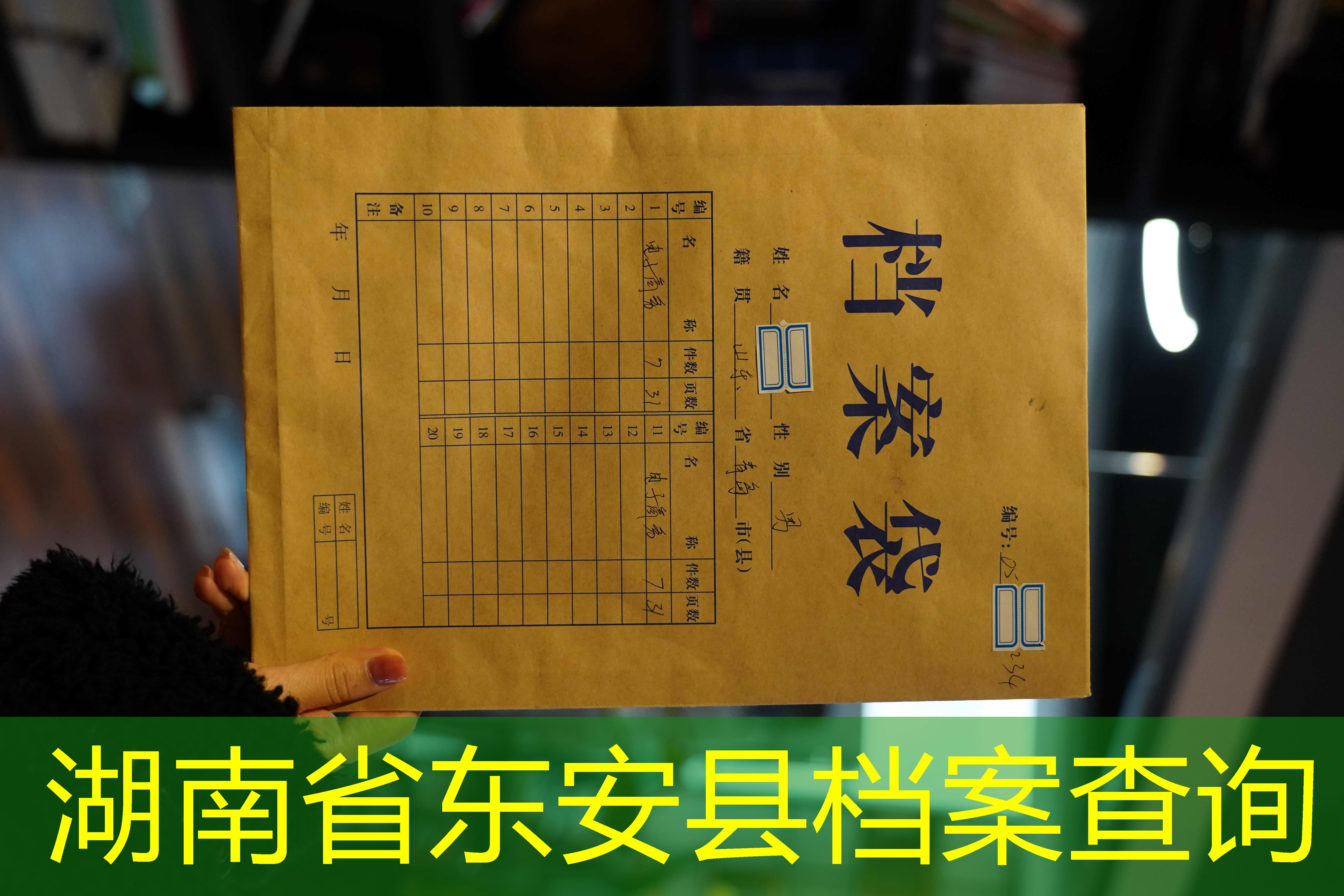 档案查询