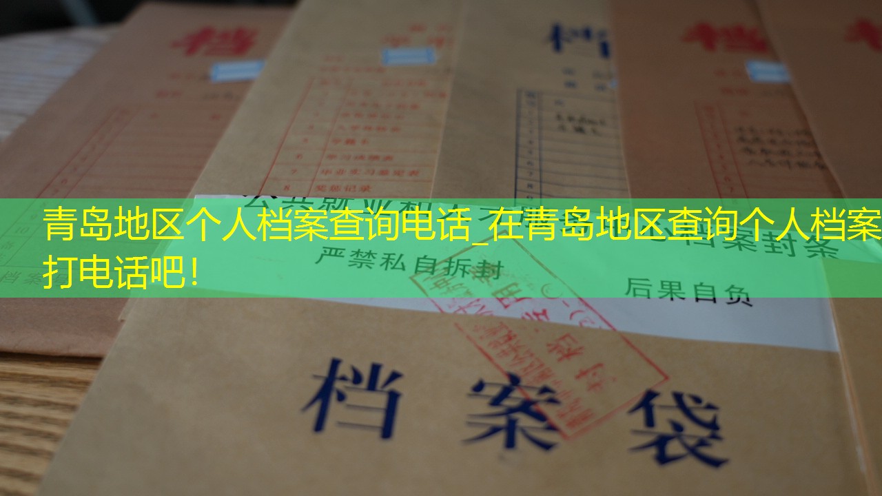 档案查询