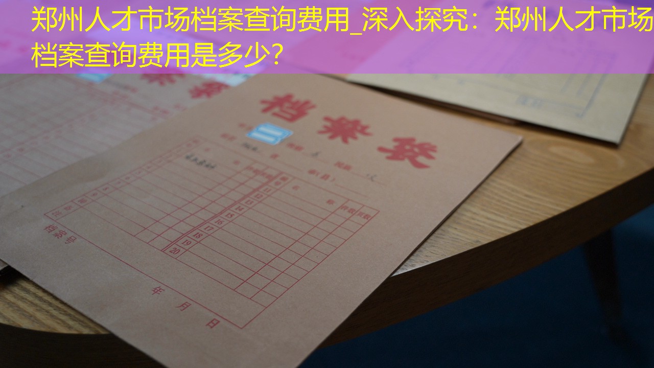 档案查询