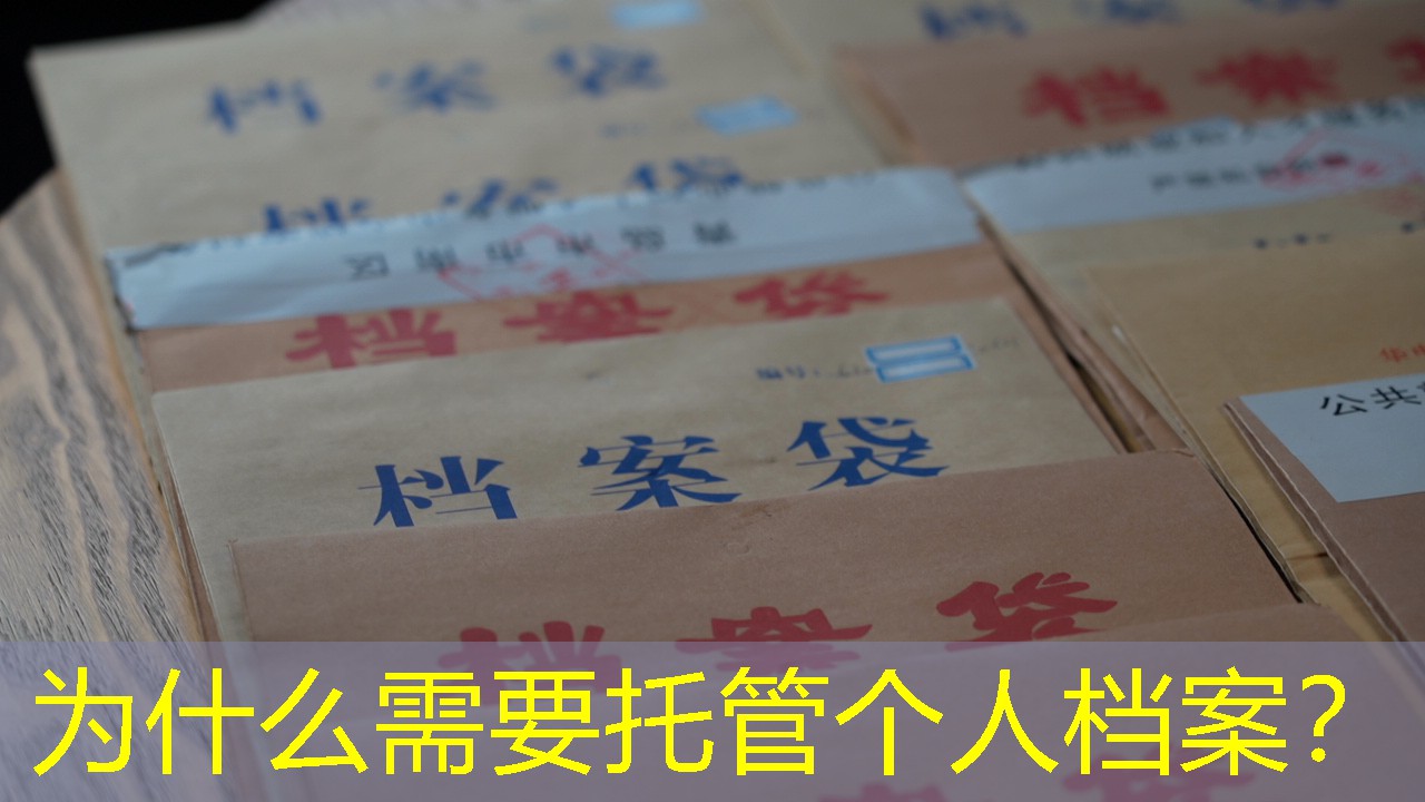 档案查询