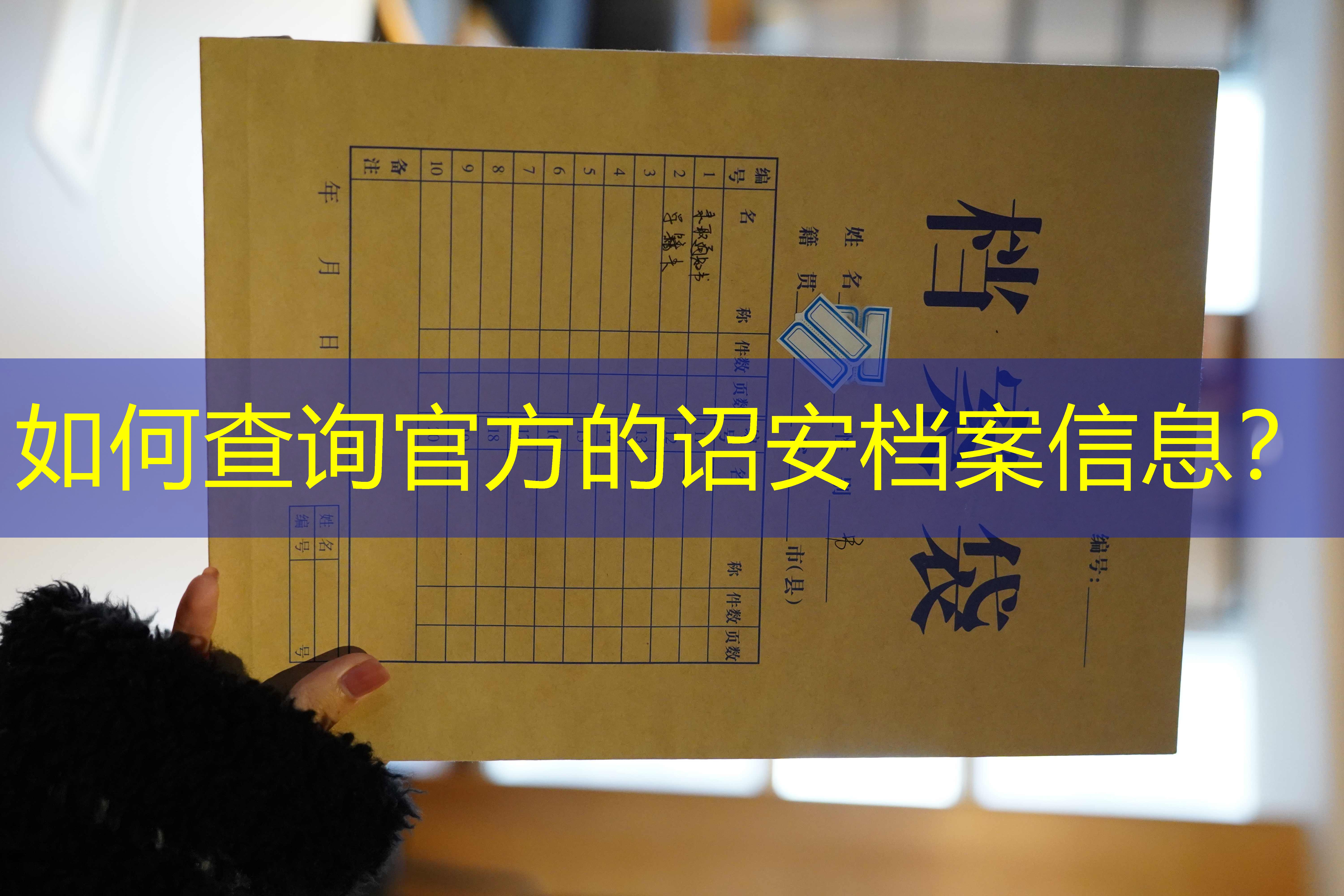 档案查询