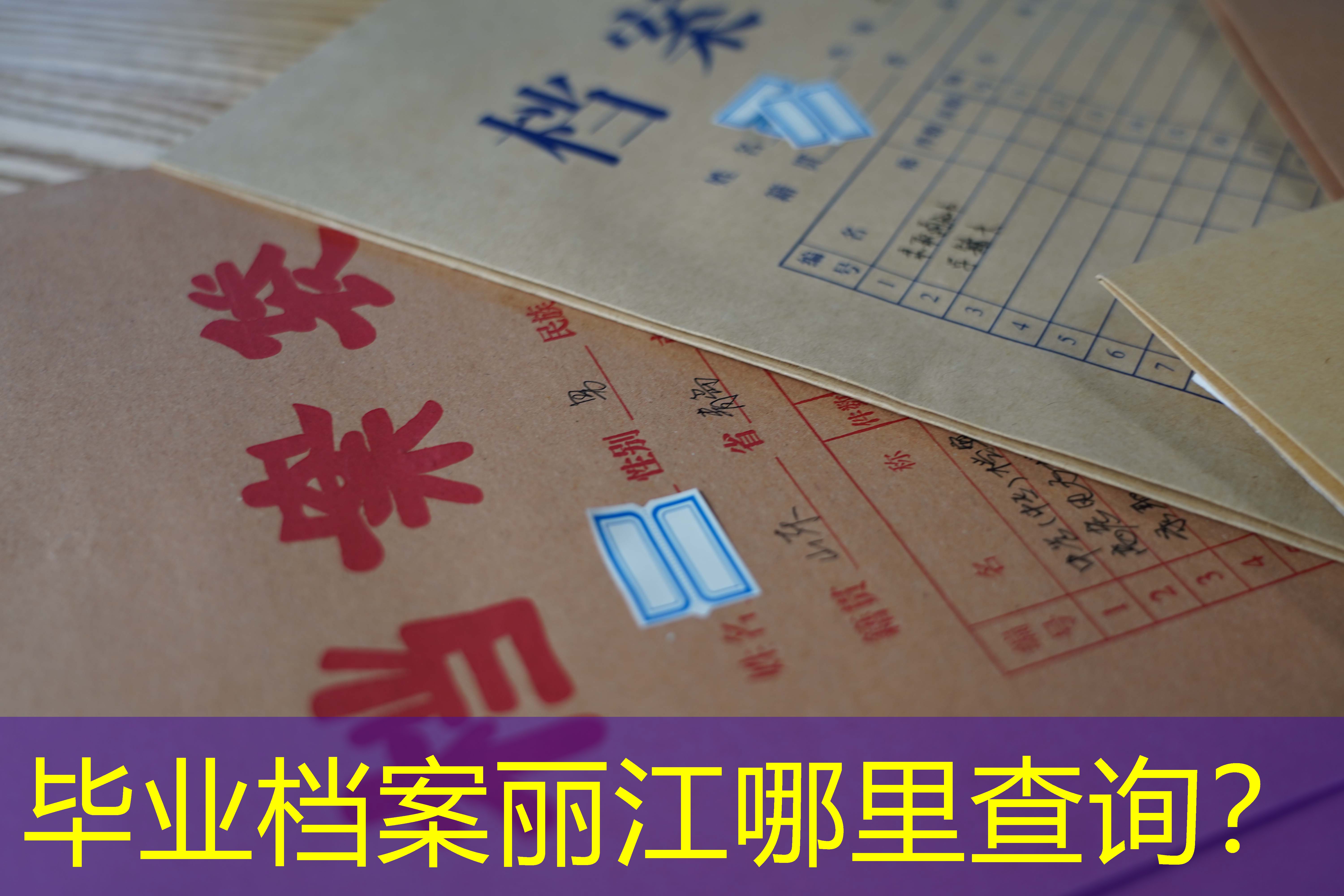 档案查询