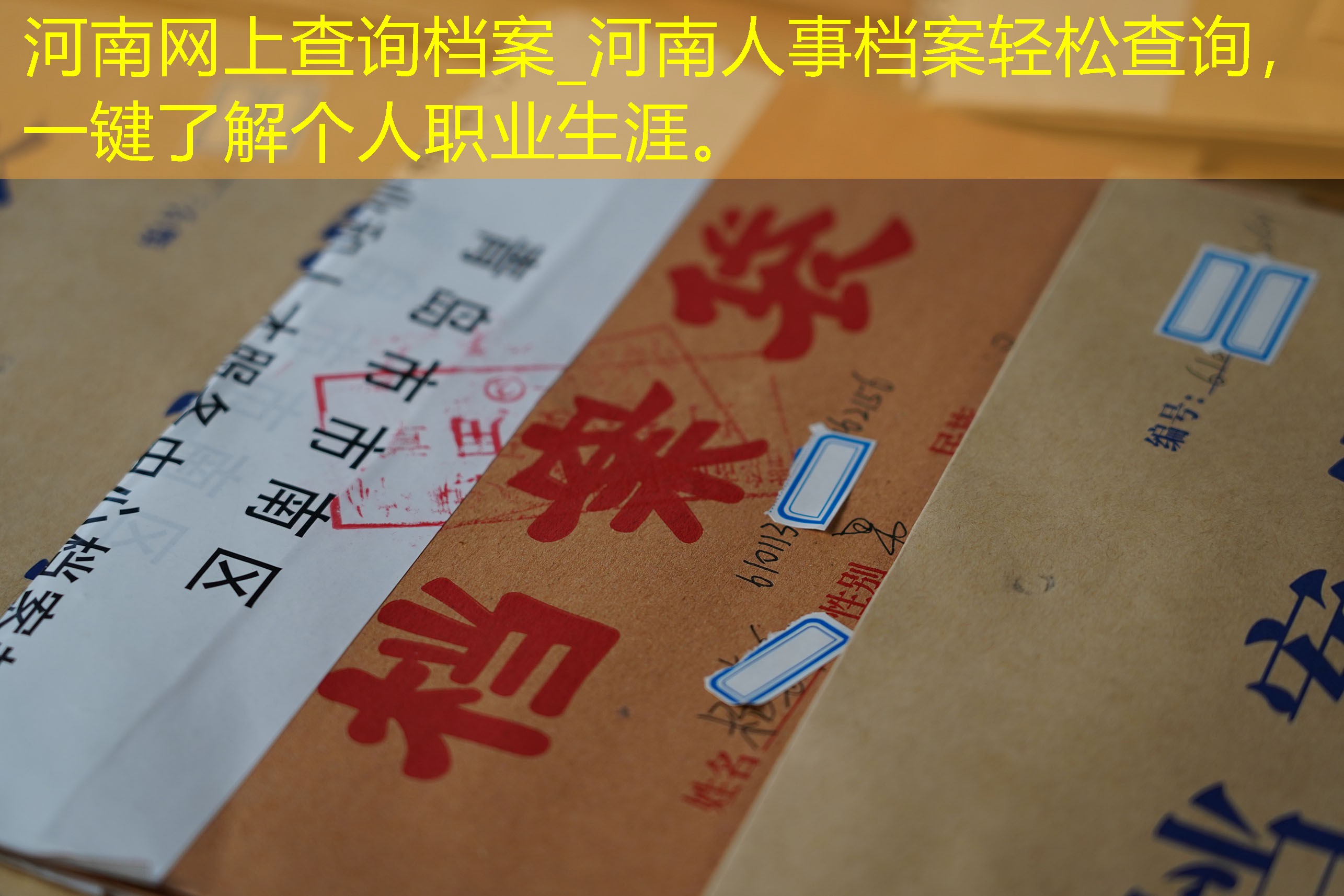 档案查询