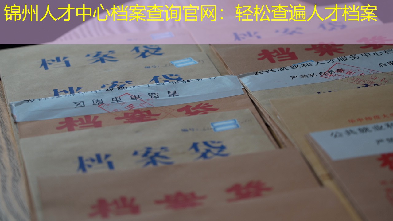 档案查询