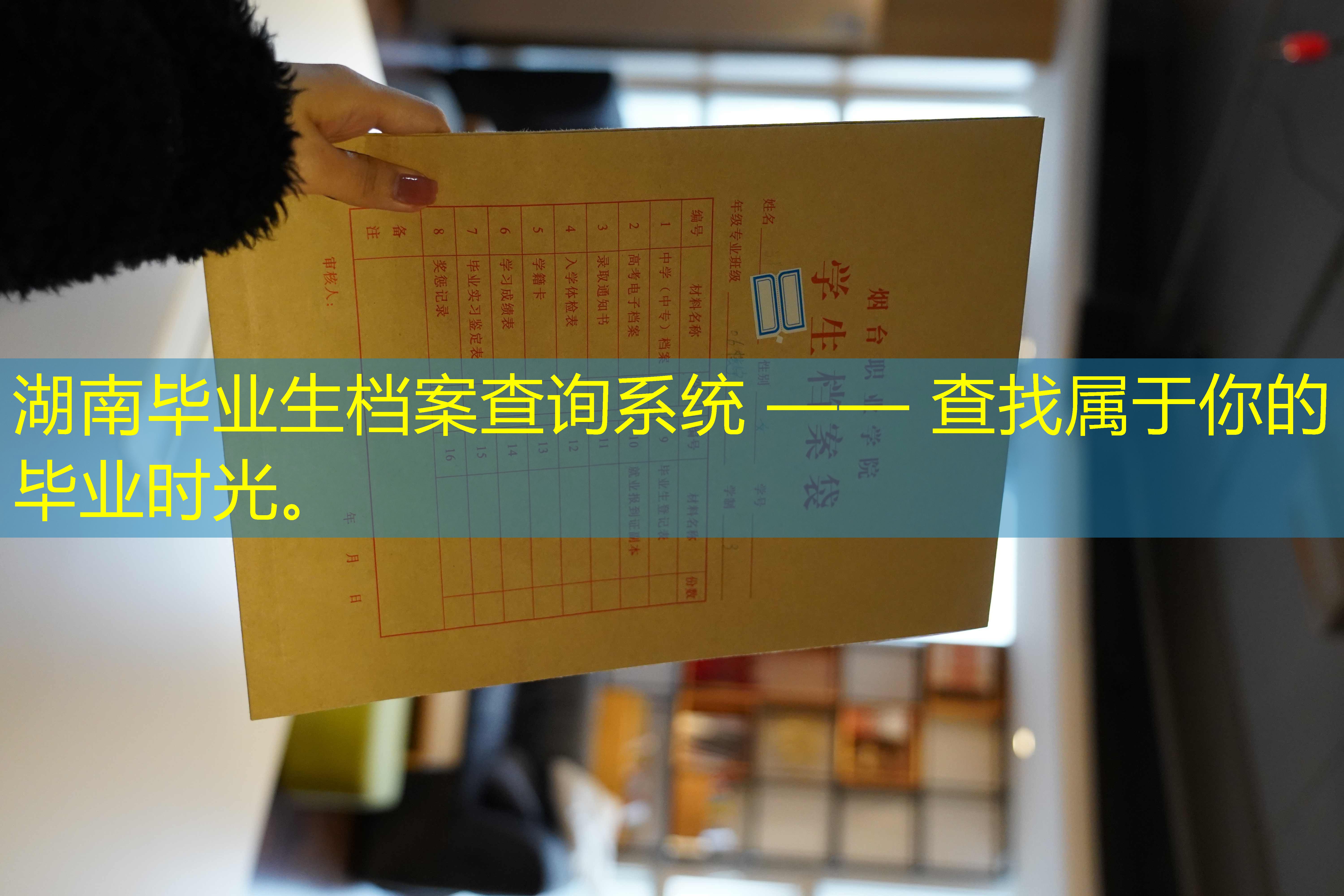 档案查询