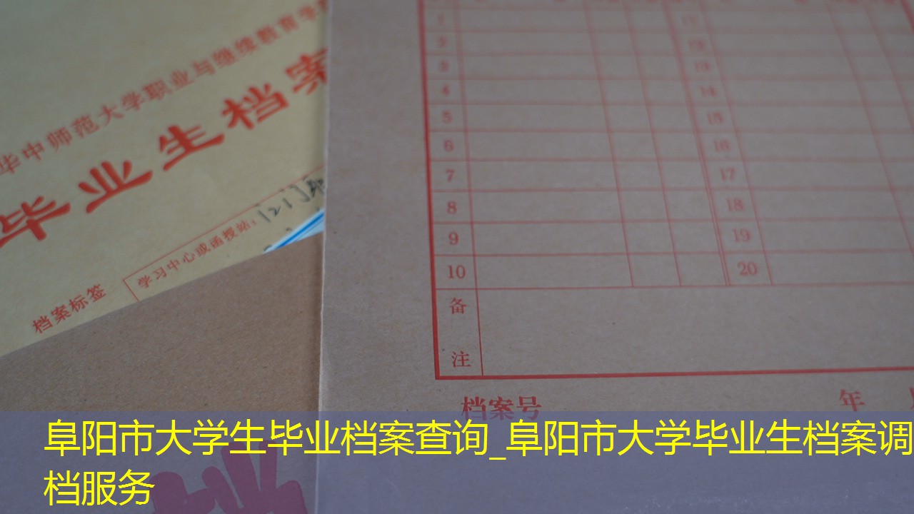 档案查询