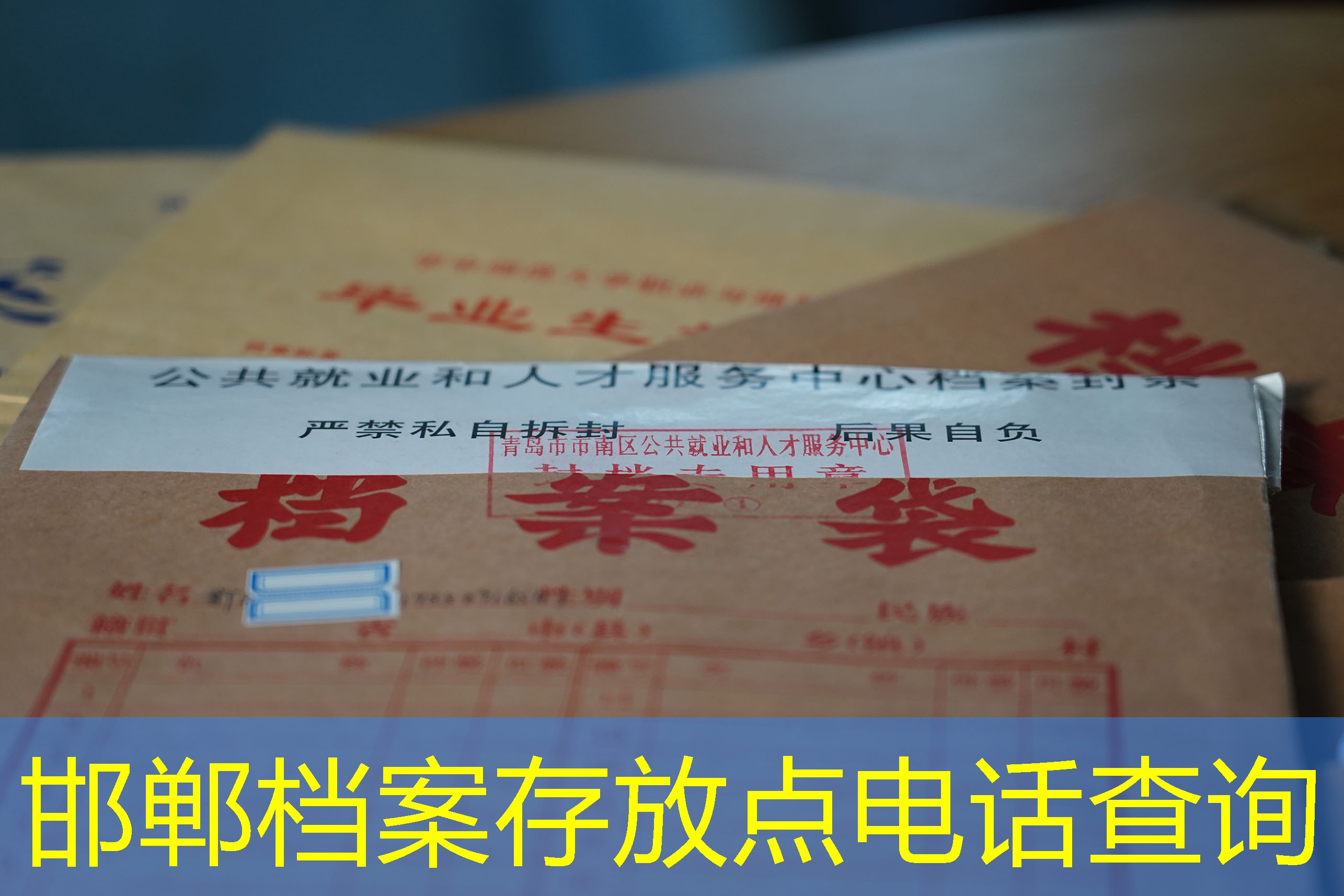 档案查询