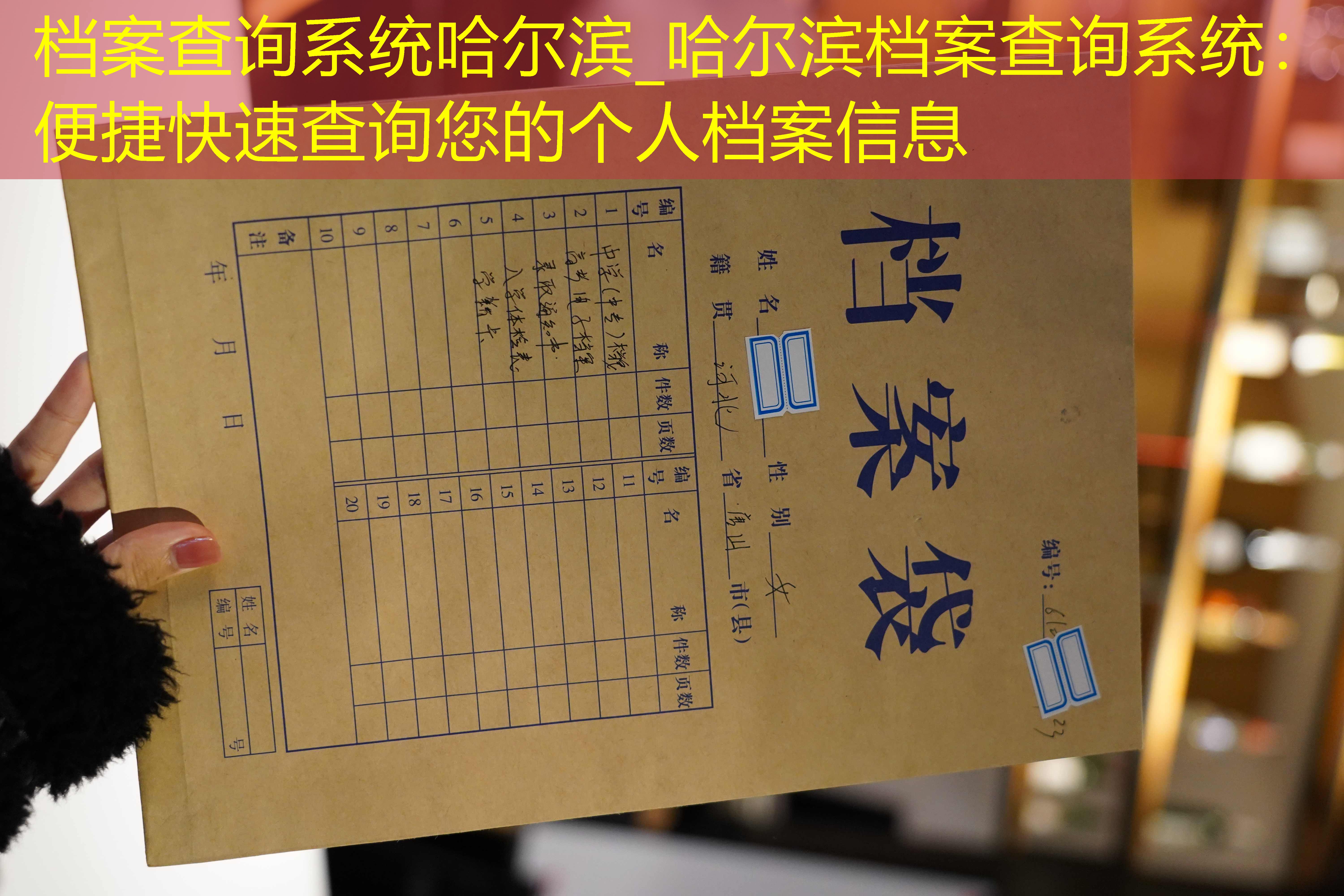档案查询