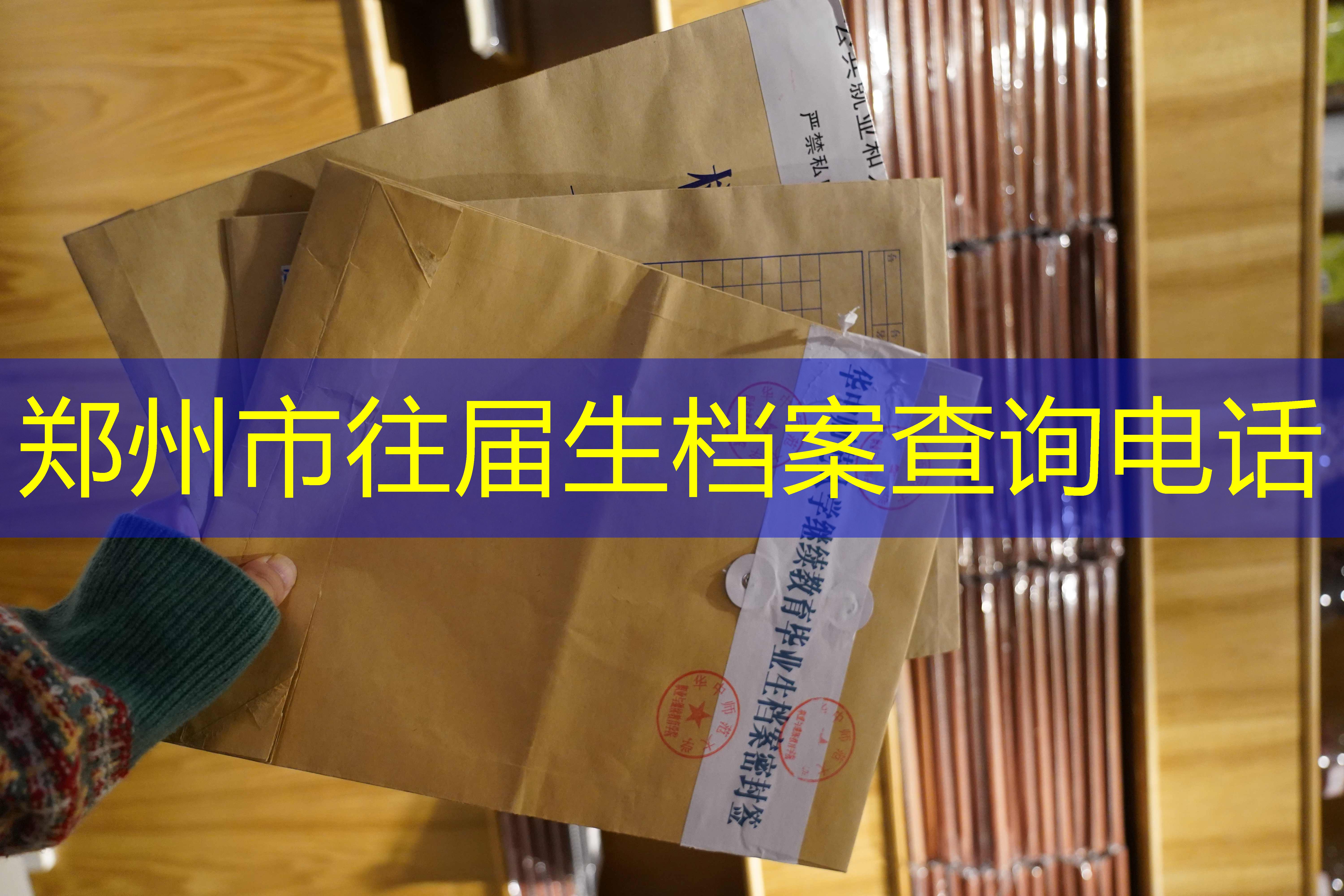 档案查询