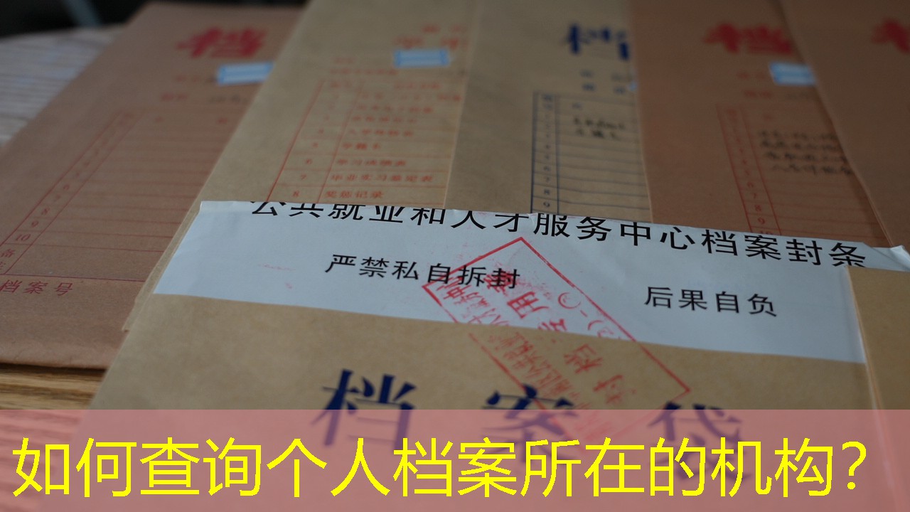 档案查询