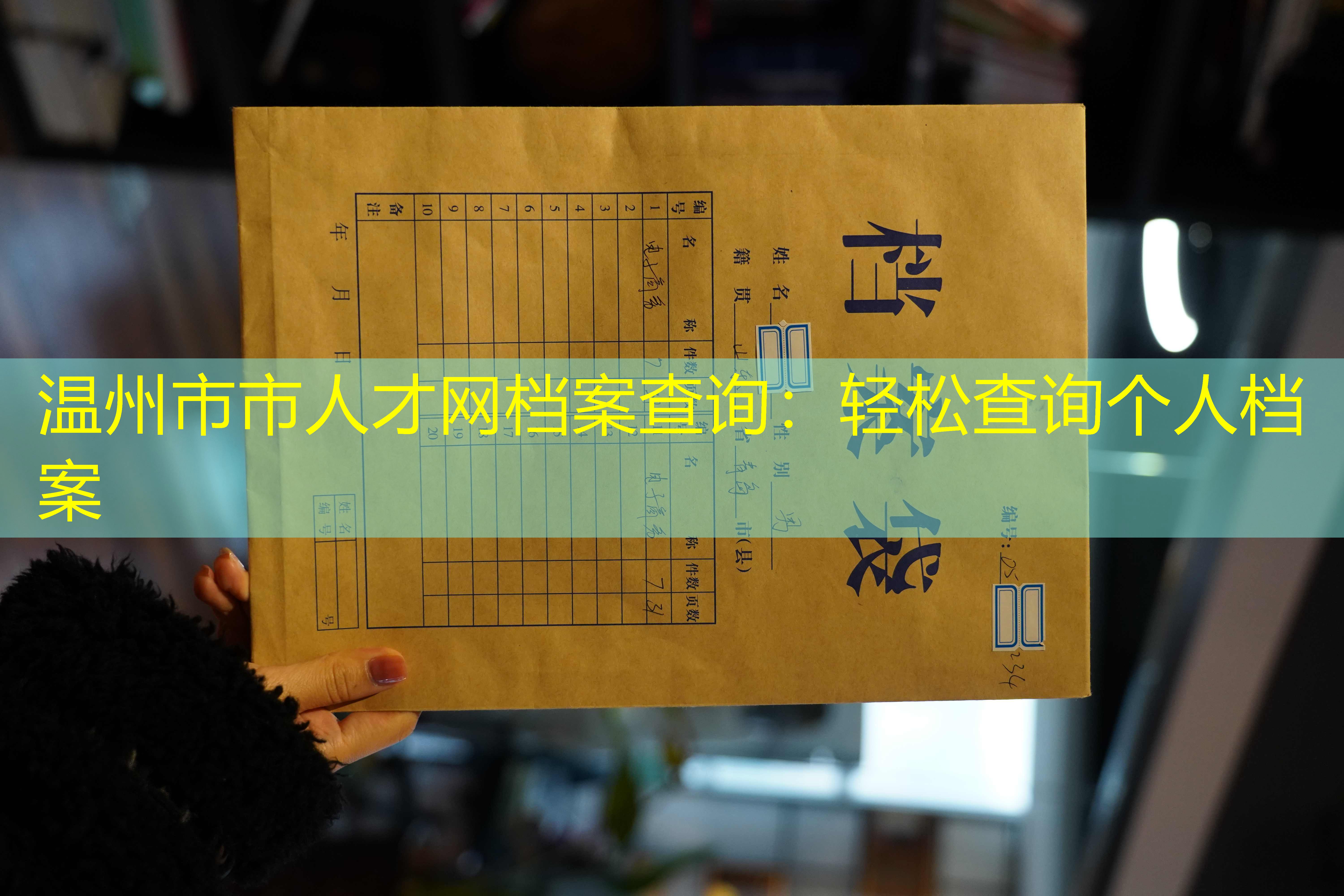 档案查询