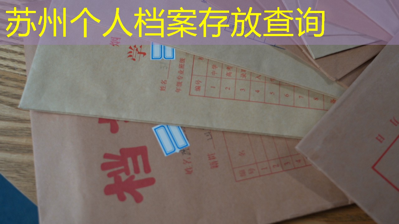 档案查询