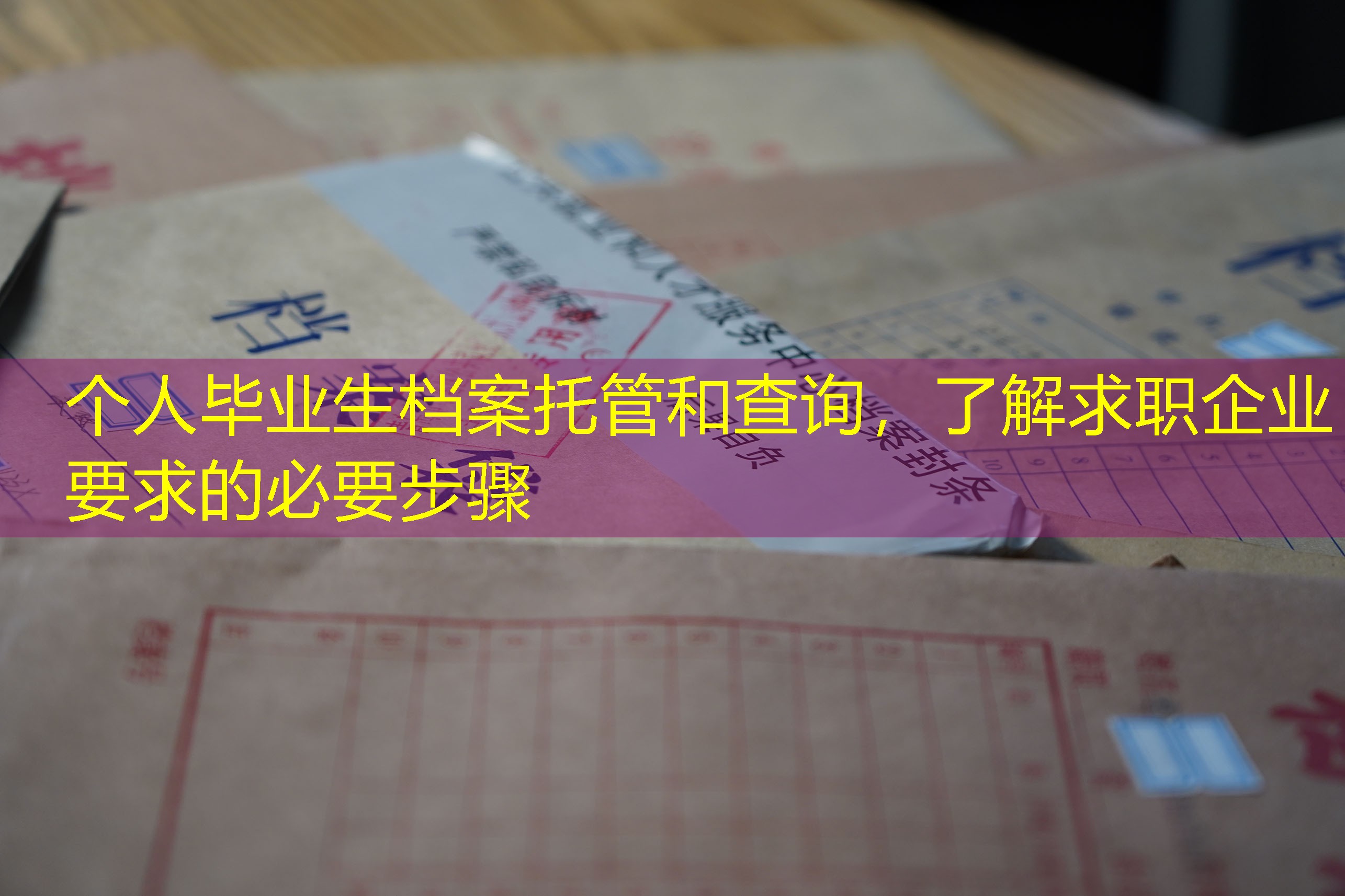 档案查询