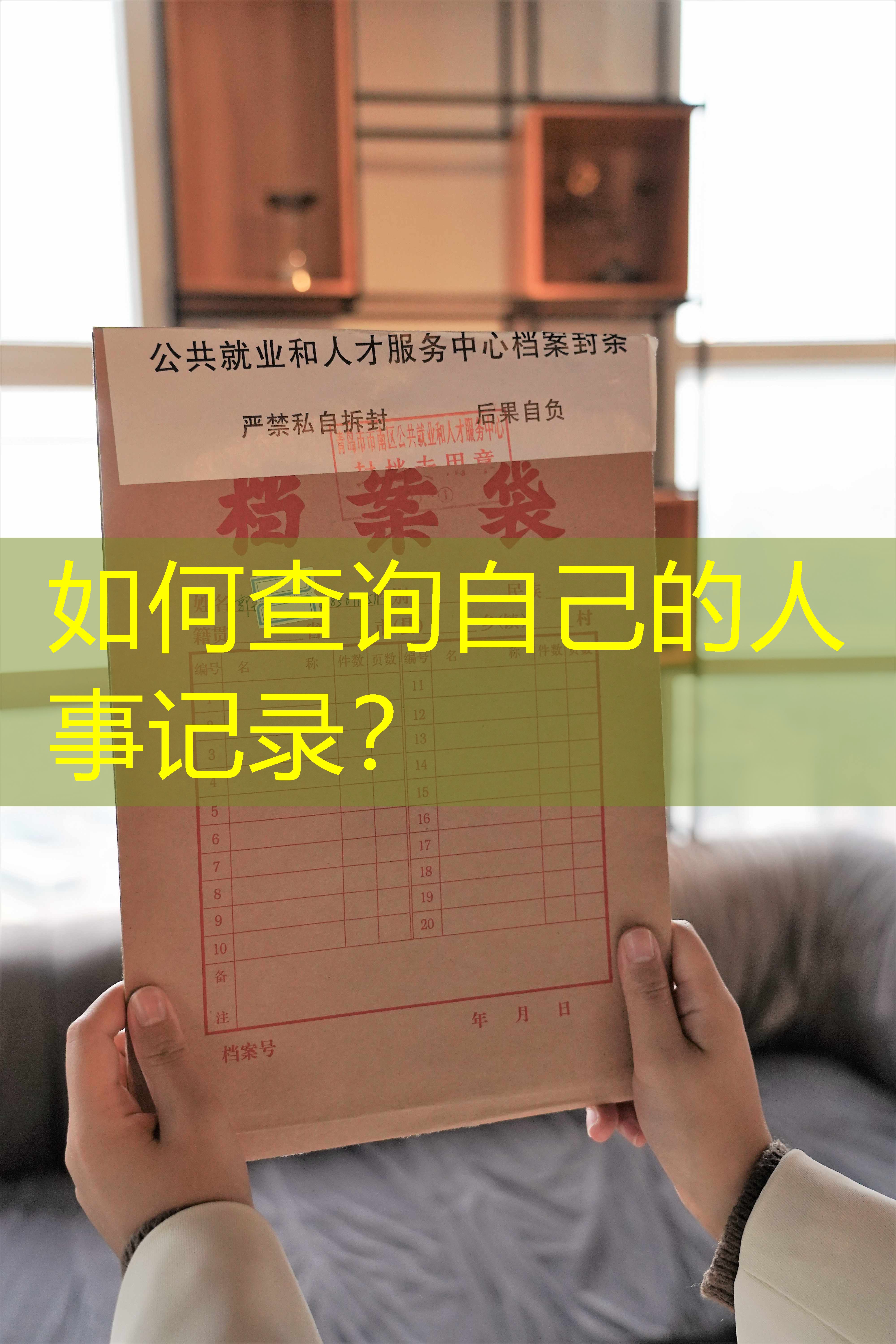 档案查询