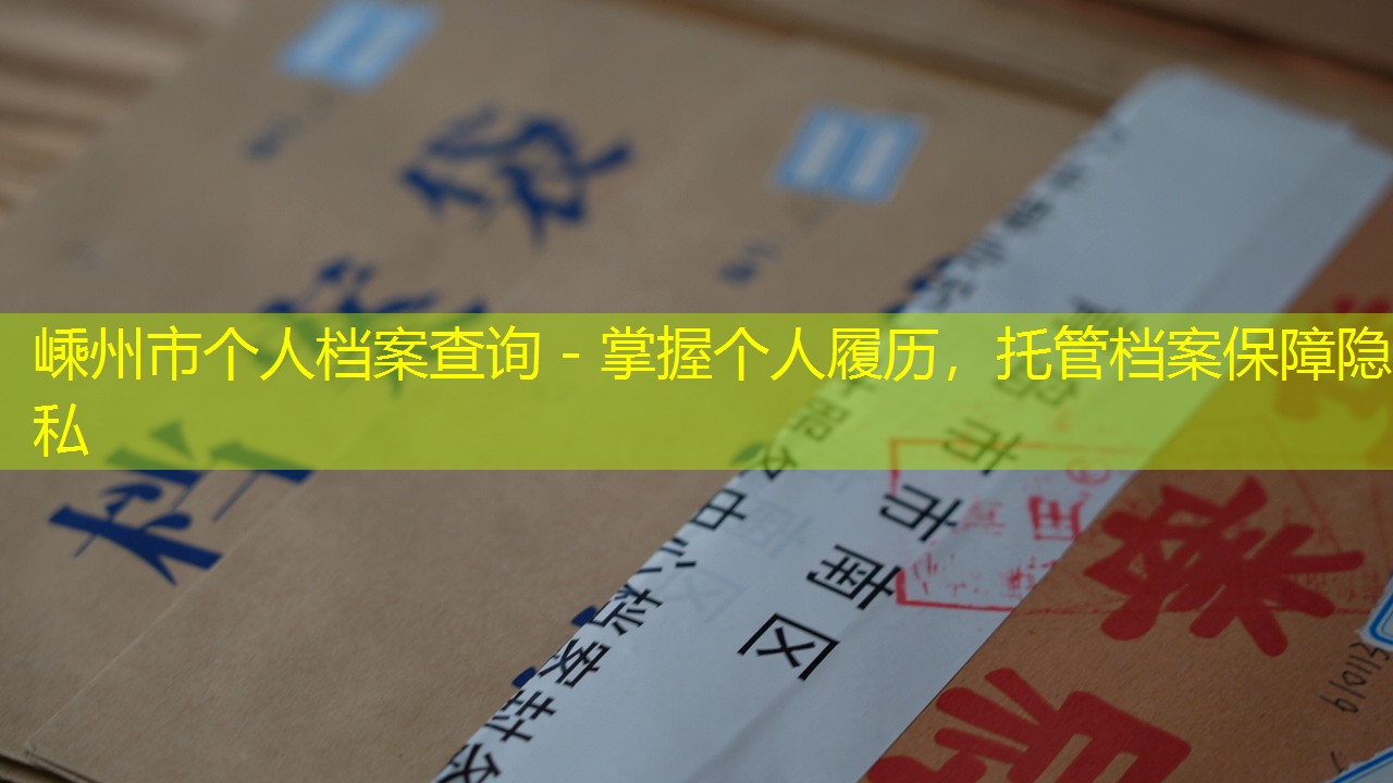 档案查询