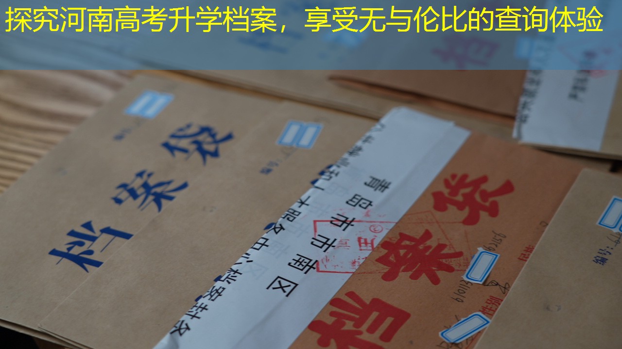 档案查询