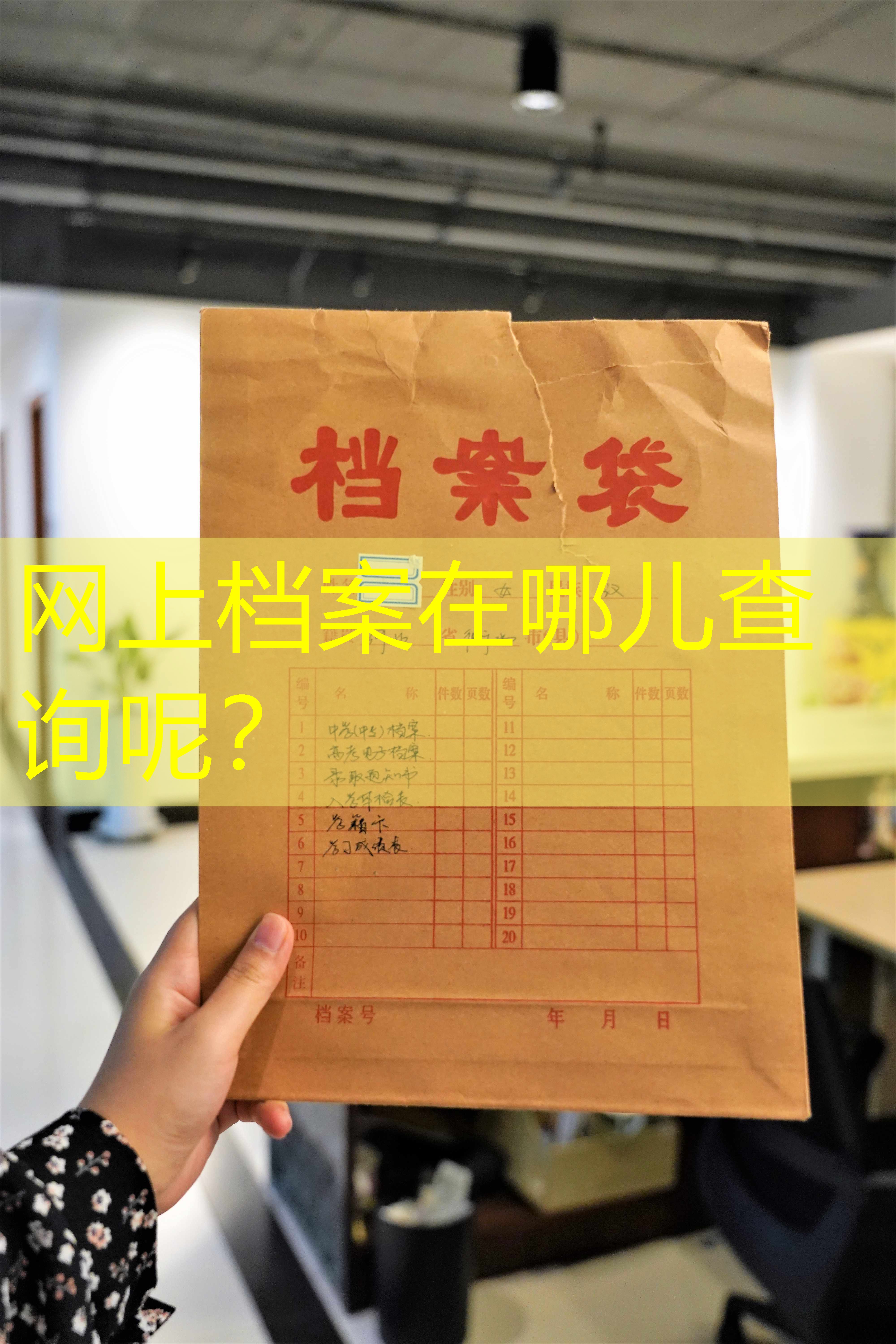 档案查询
