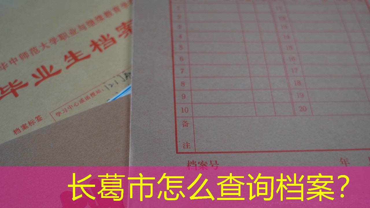 档案查询
