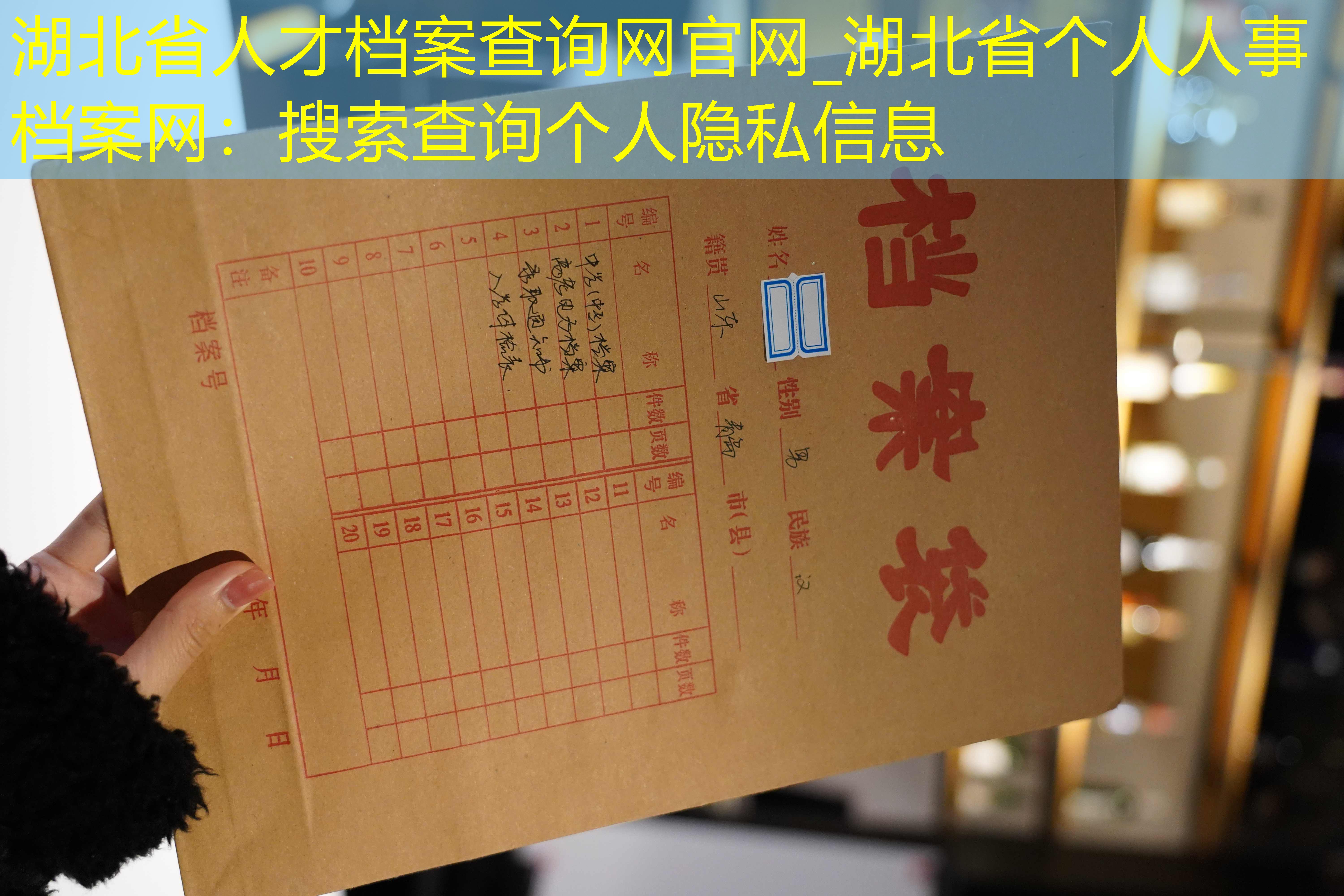 档案查询