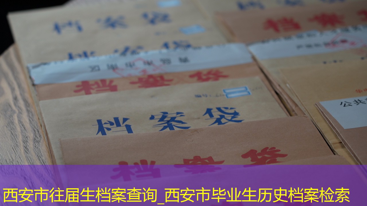 档案查询