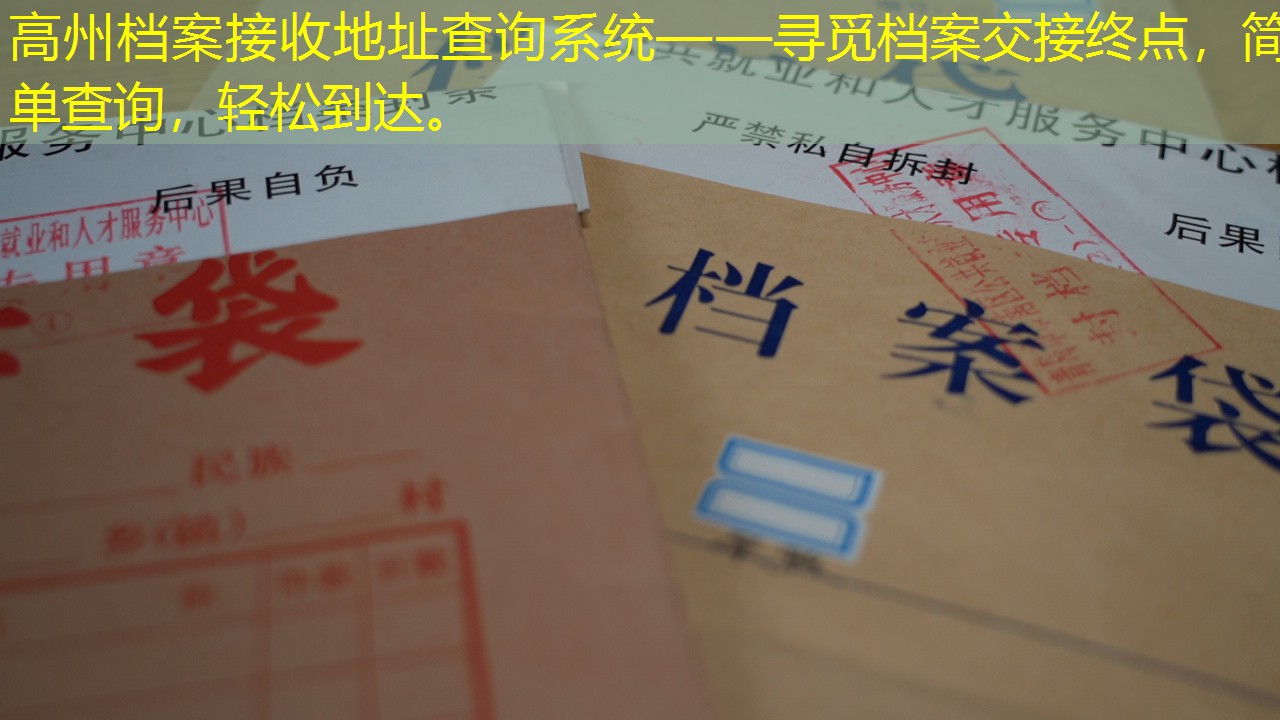 档案查询