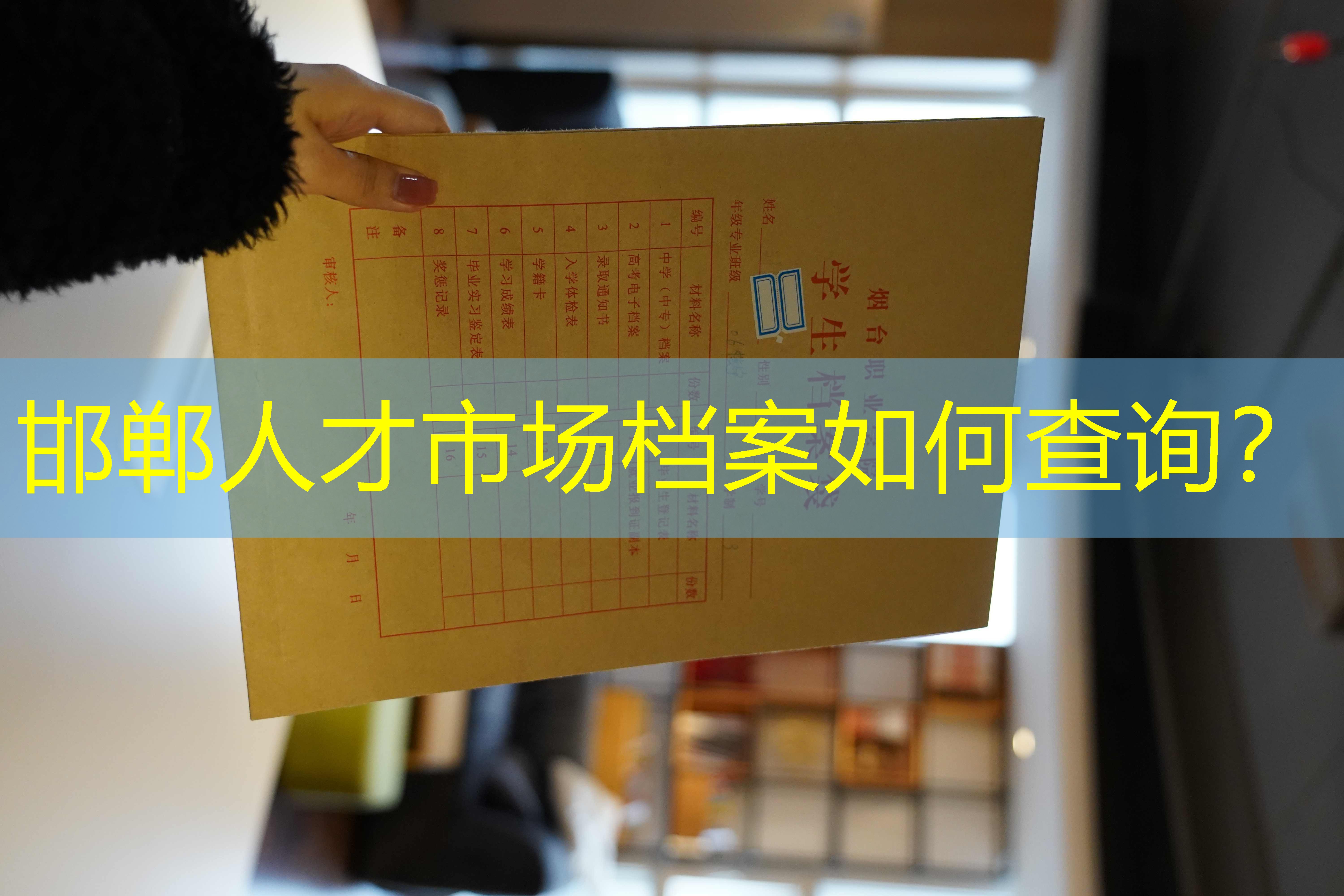 档案查询
