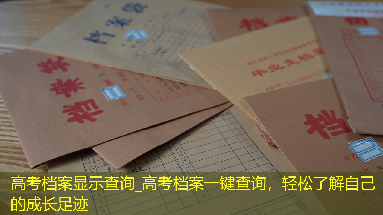档案查询