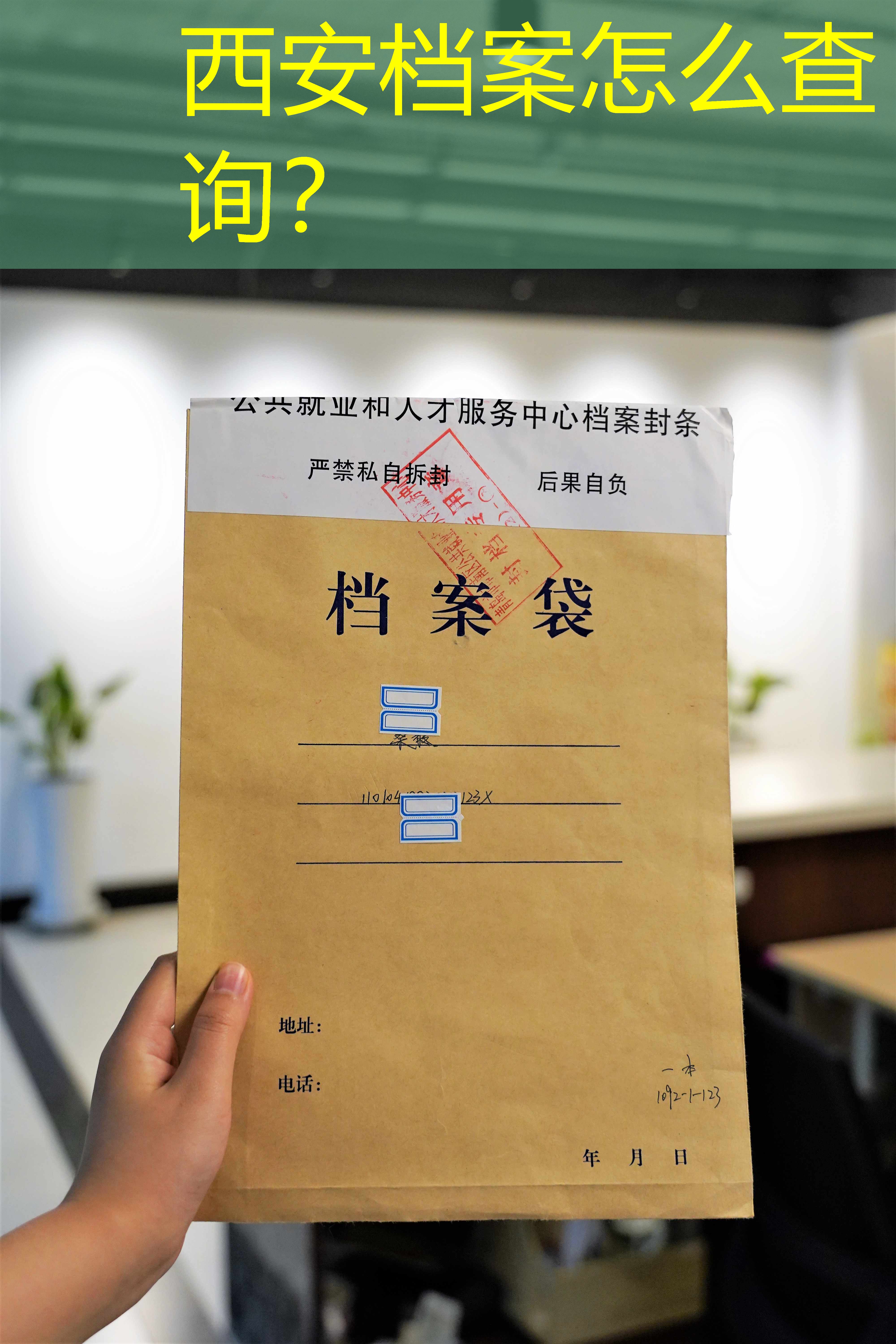 档案查询