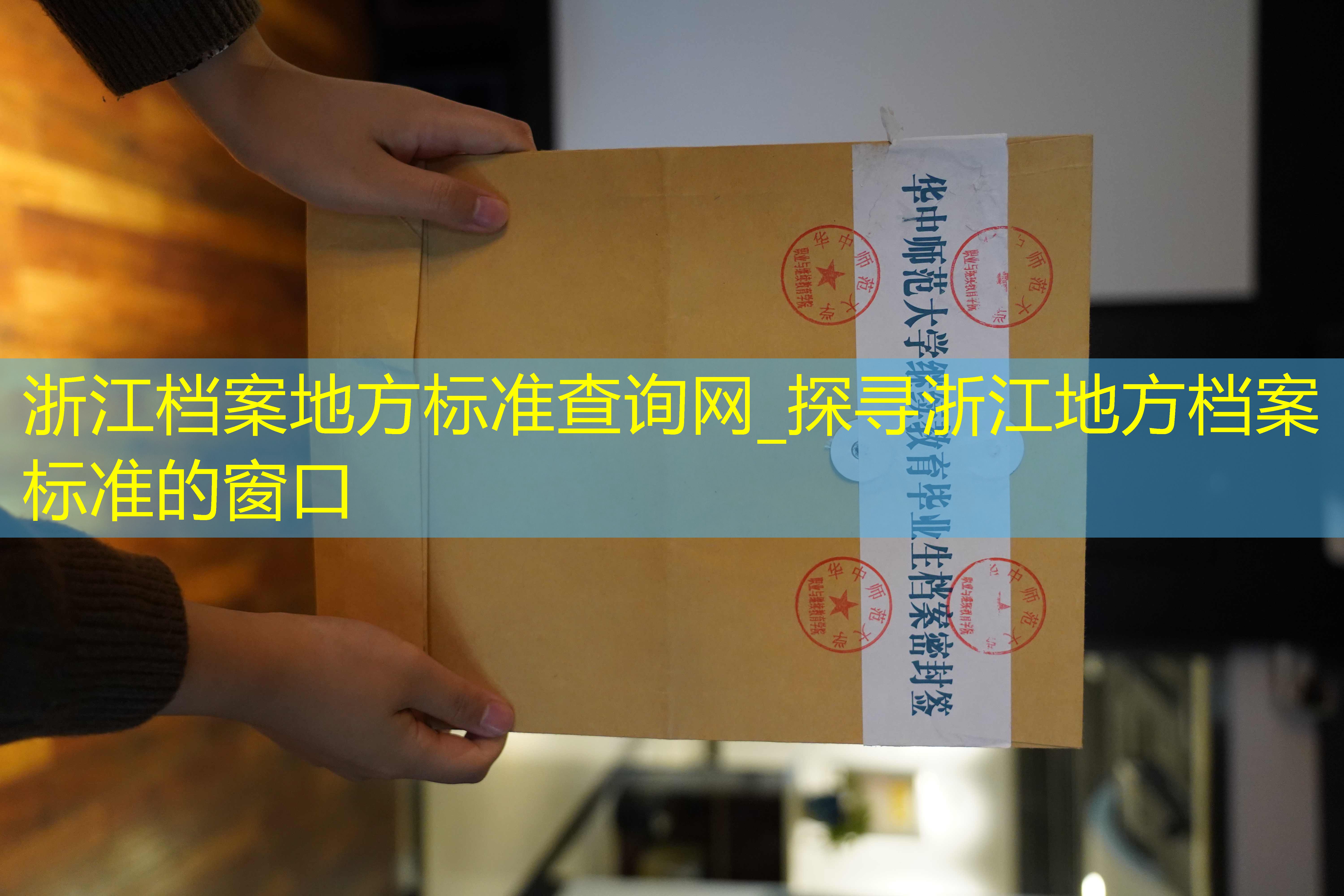 档案查询