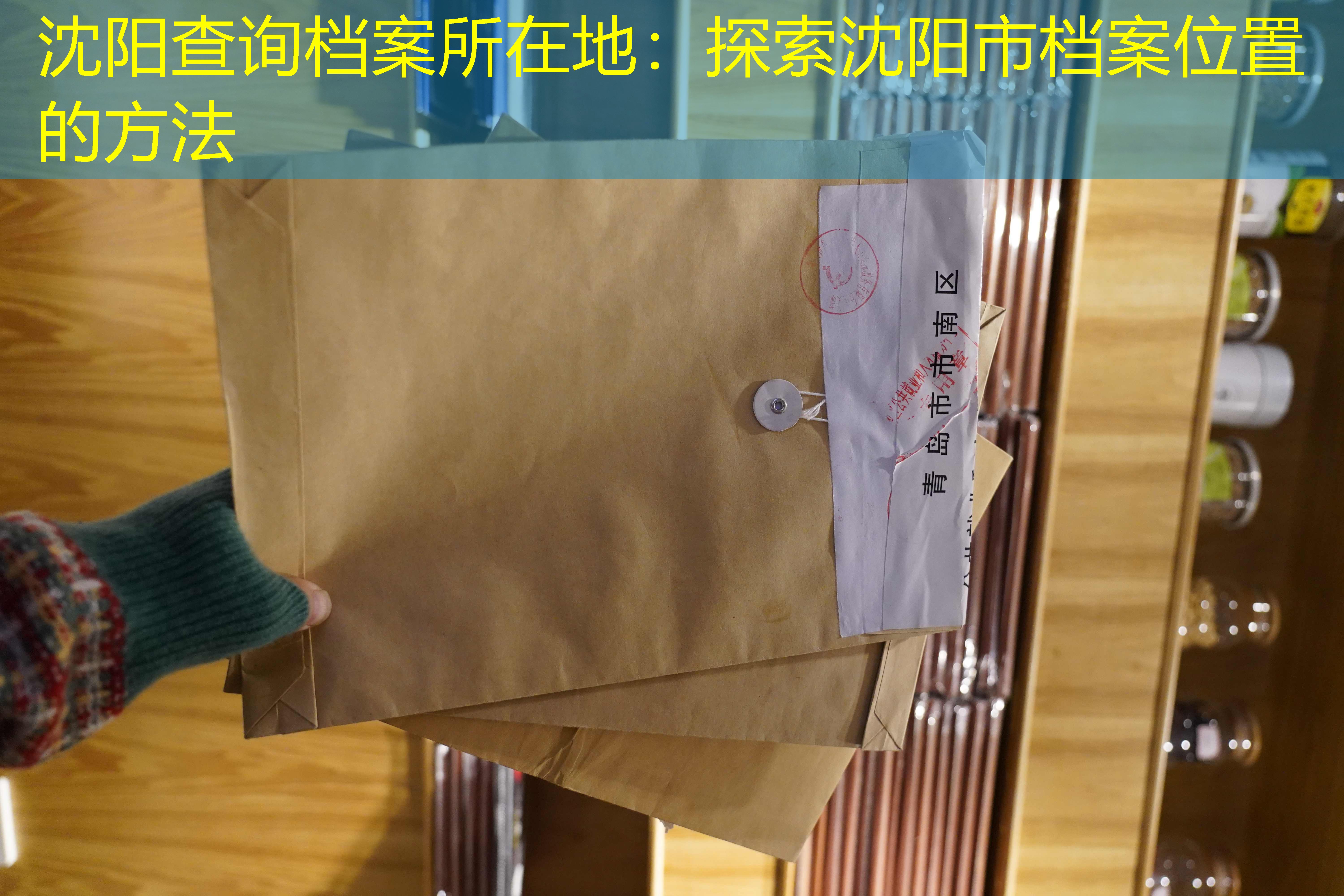 档案查询