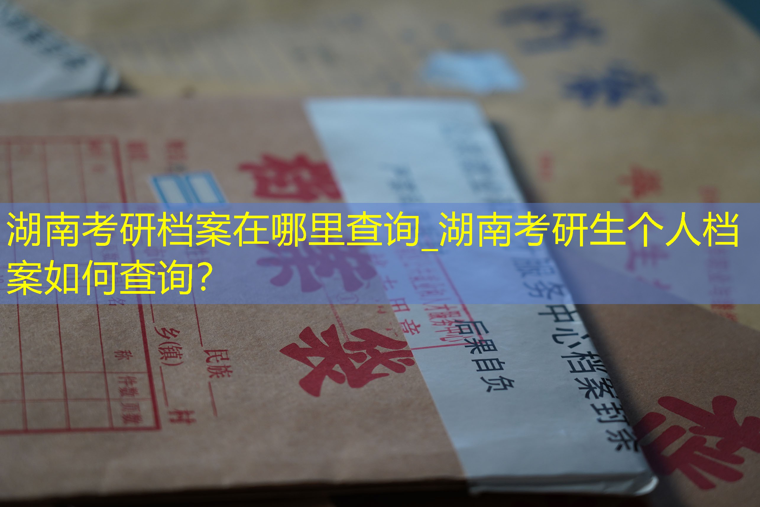 档案查询