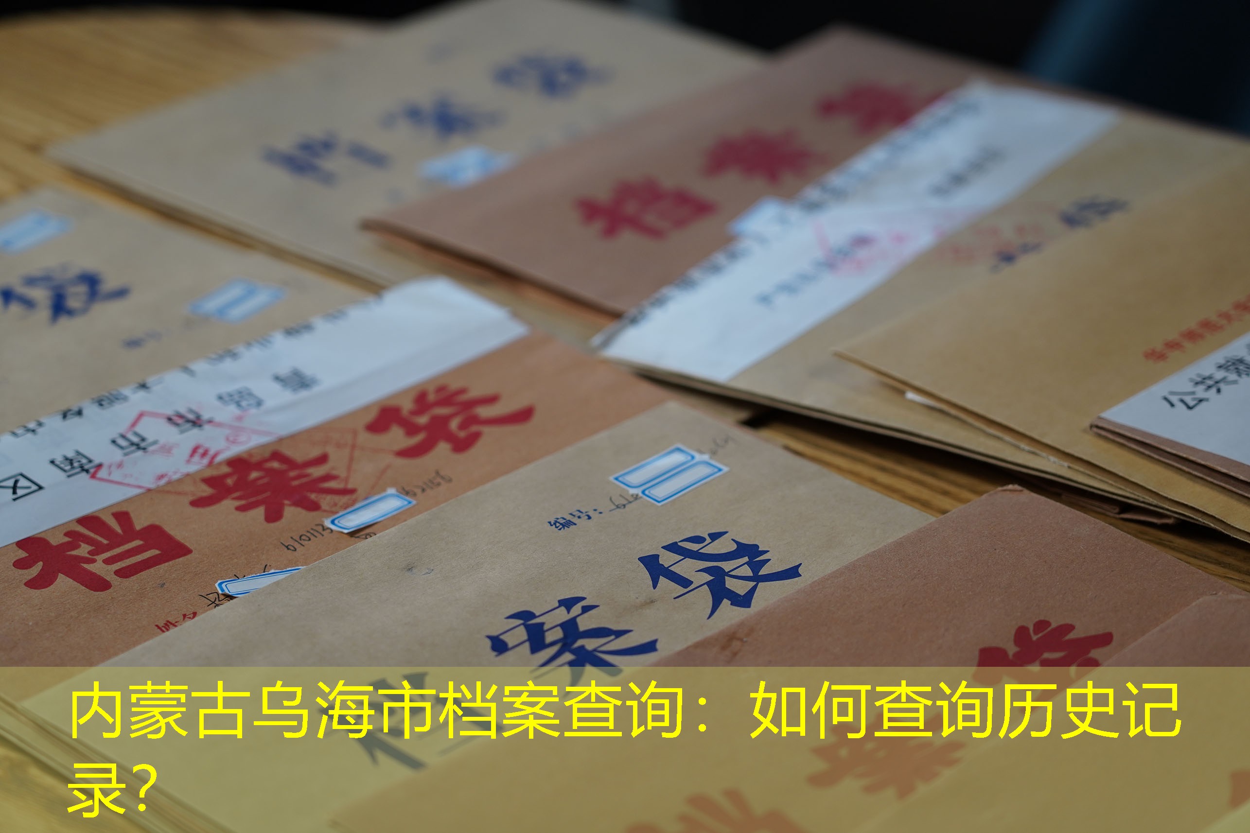 档案查询