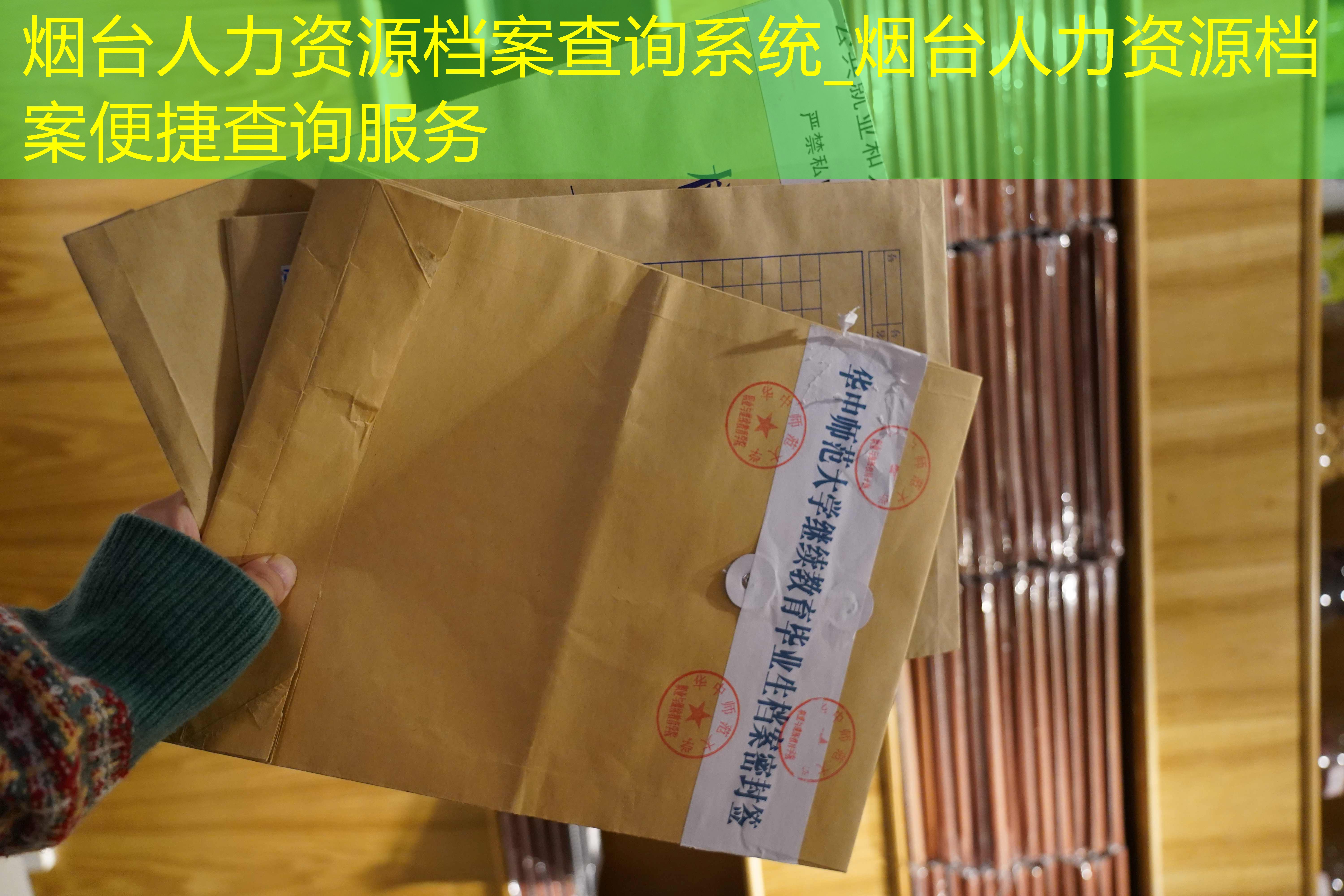 档案查询