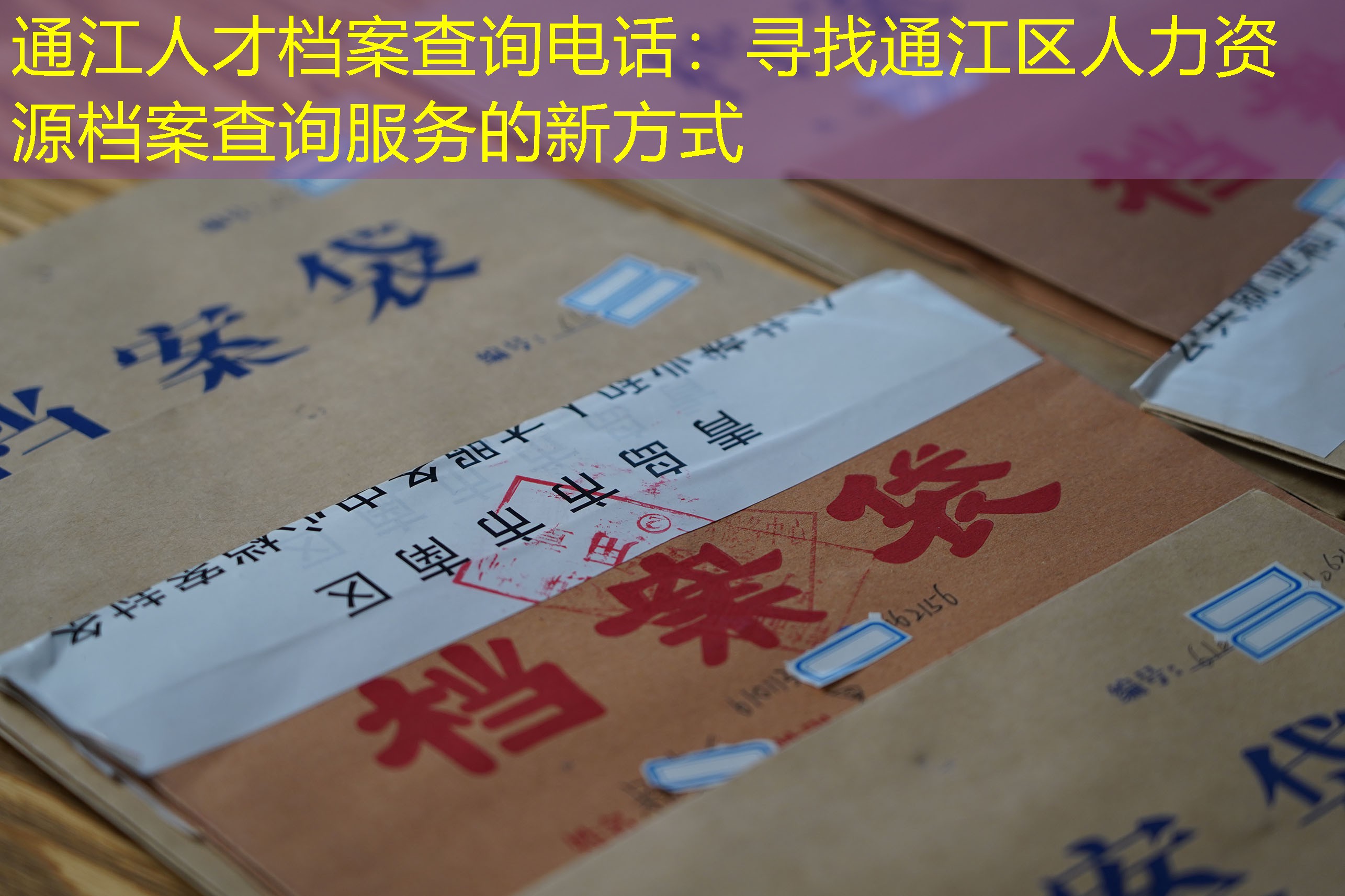 档案查询