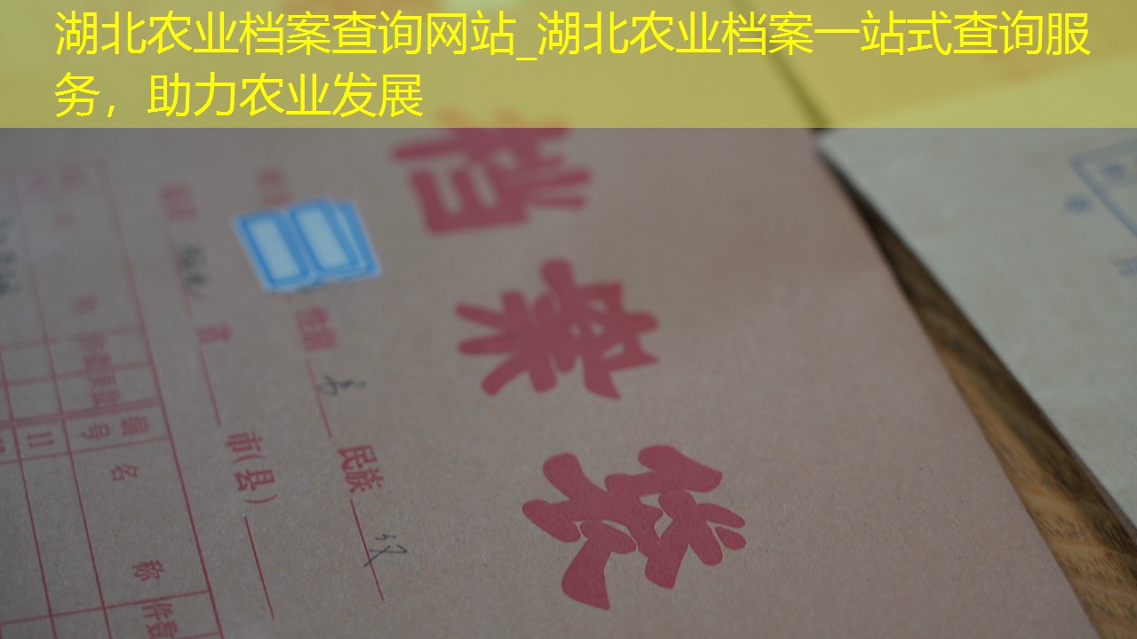 档案查询