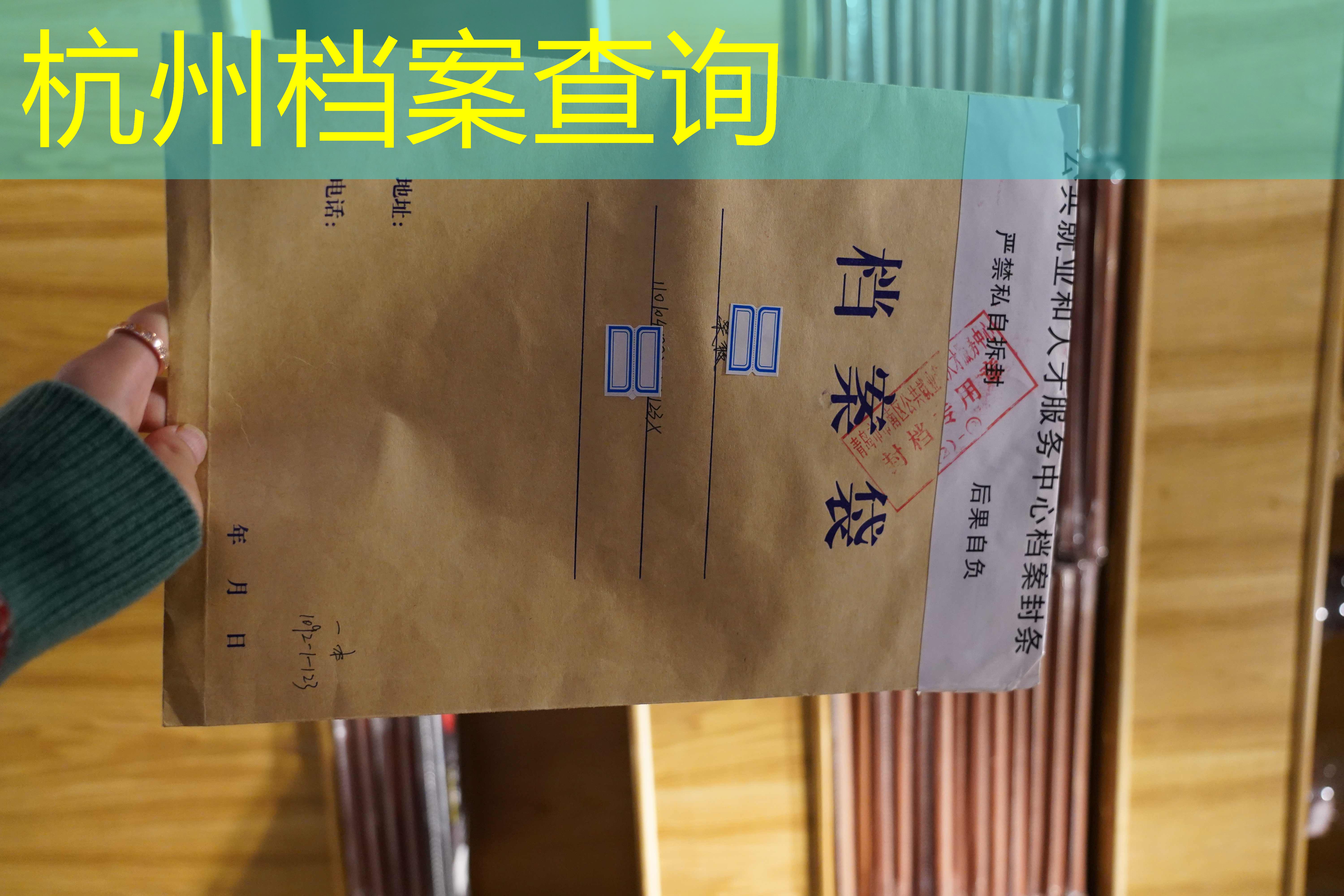档案查询