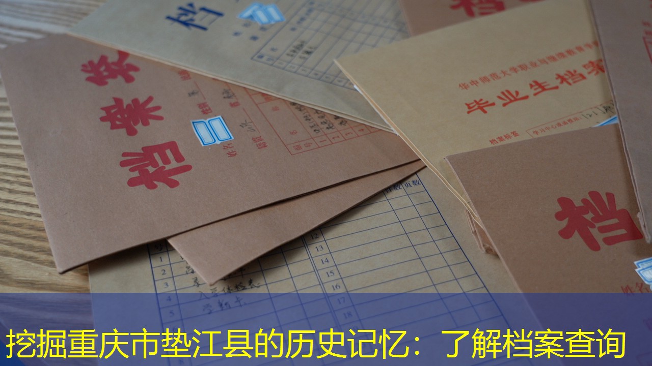 档案查询