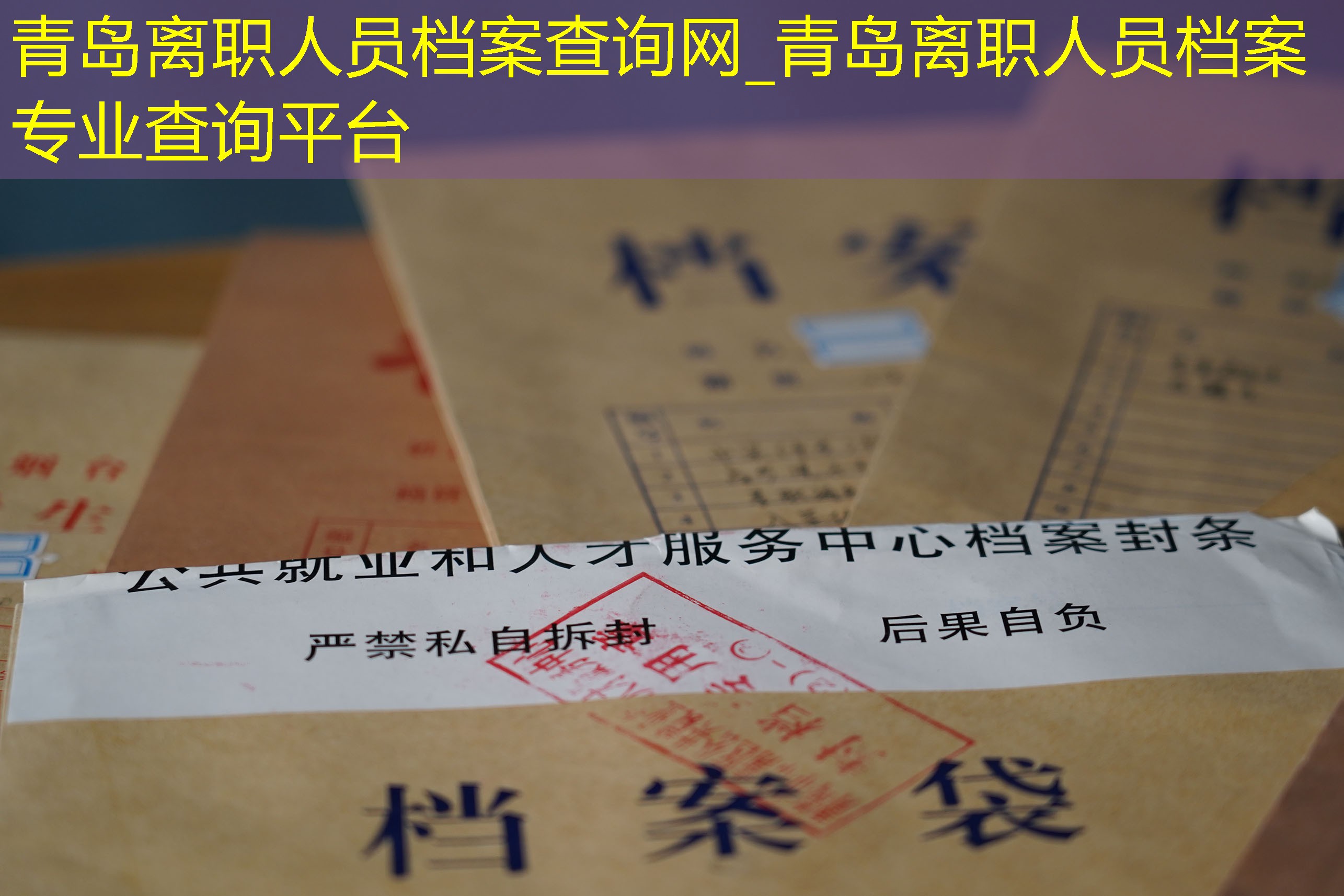 档案查询
