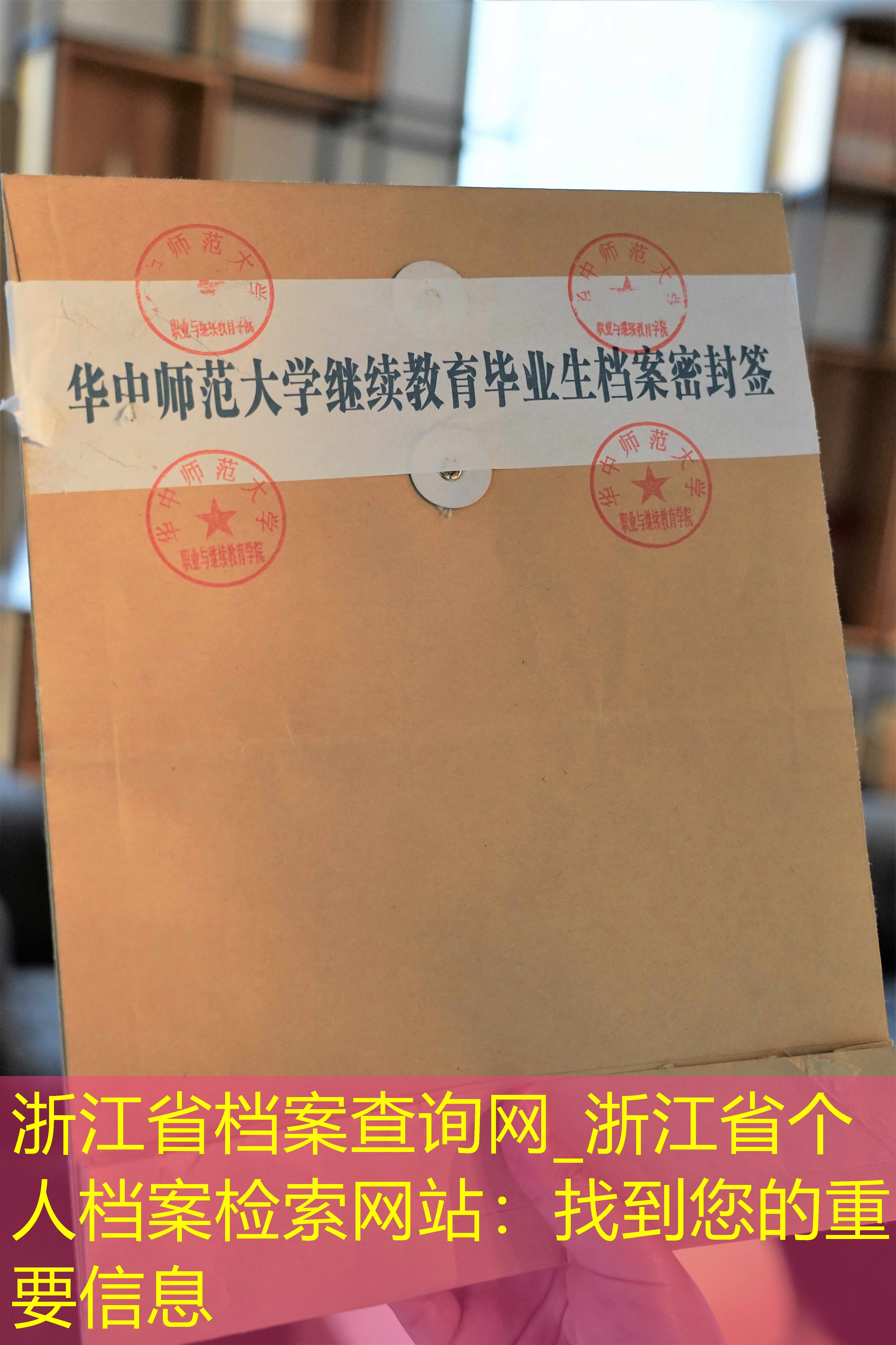 档案查询