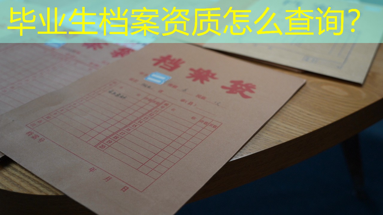 档案查询