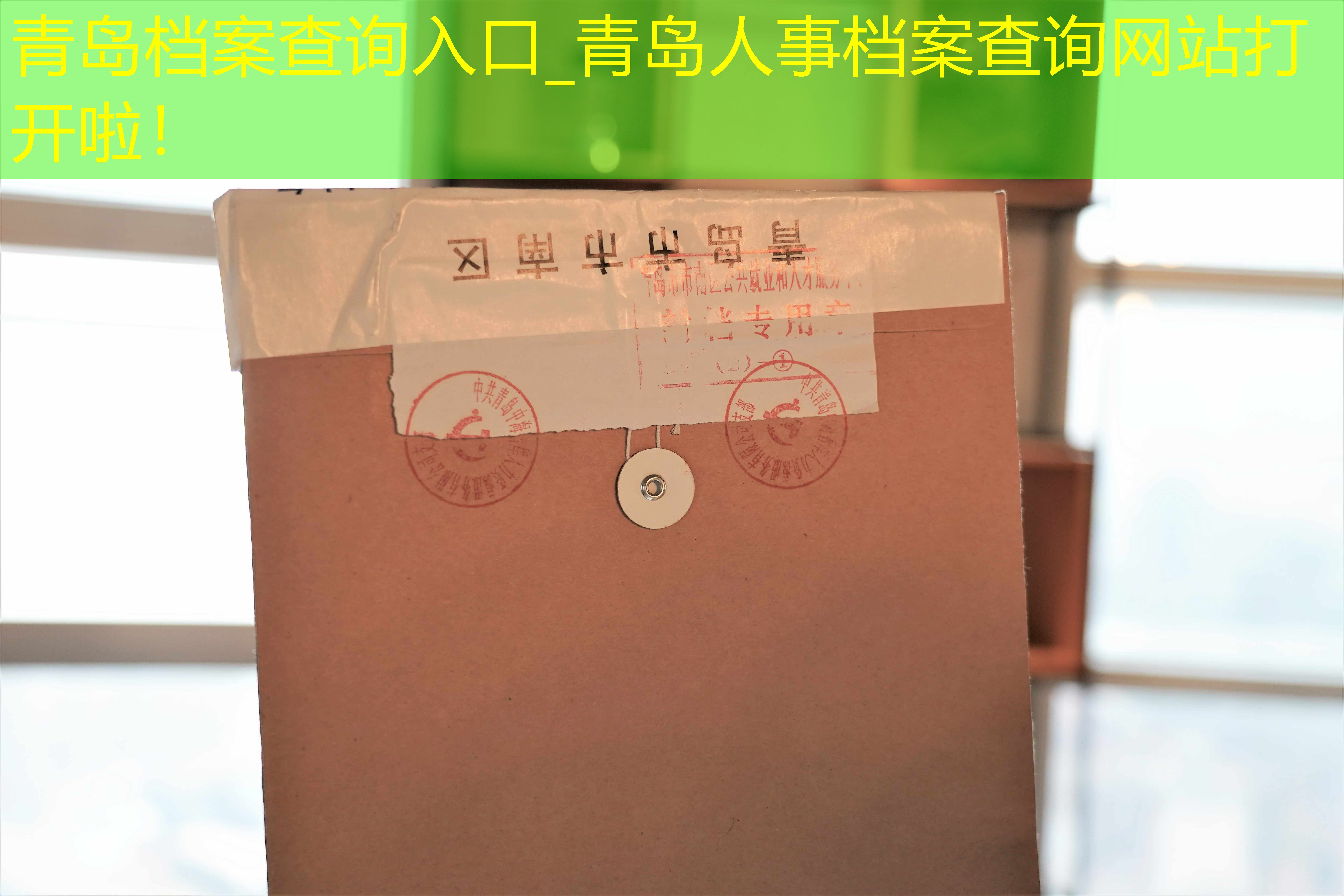 档案查询