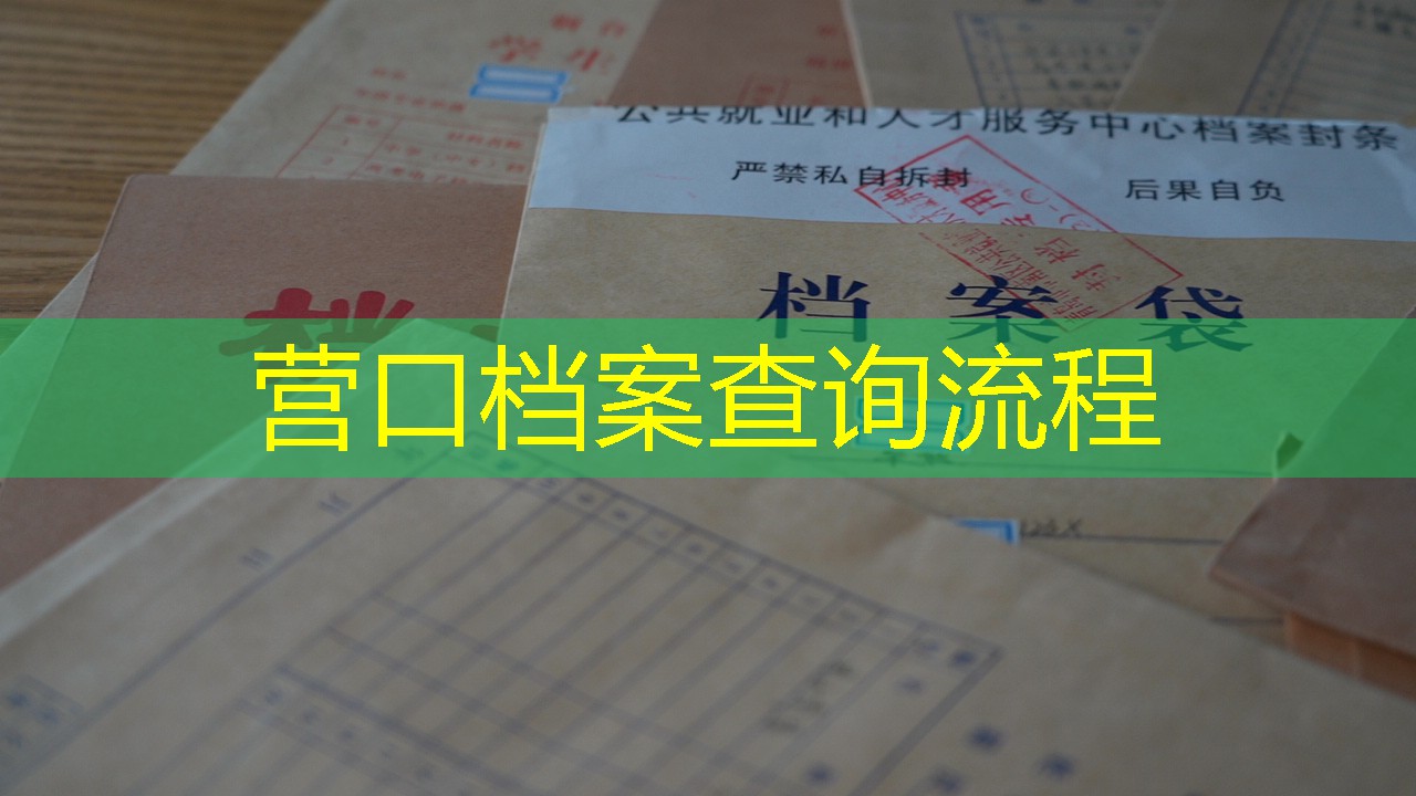 档案查询