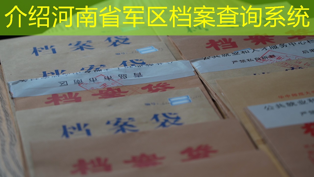 档案查询