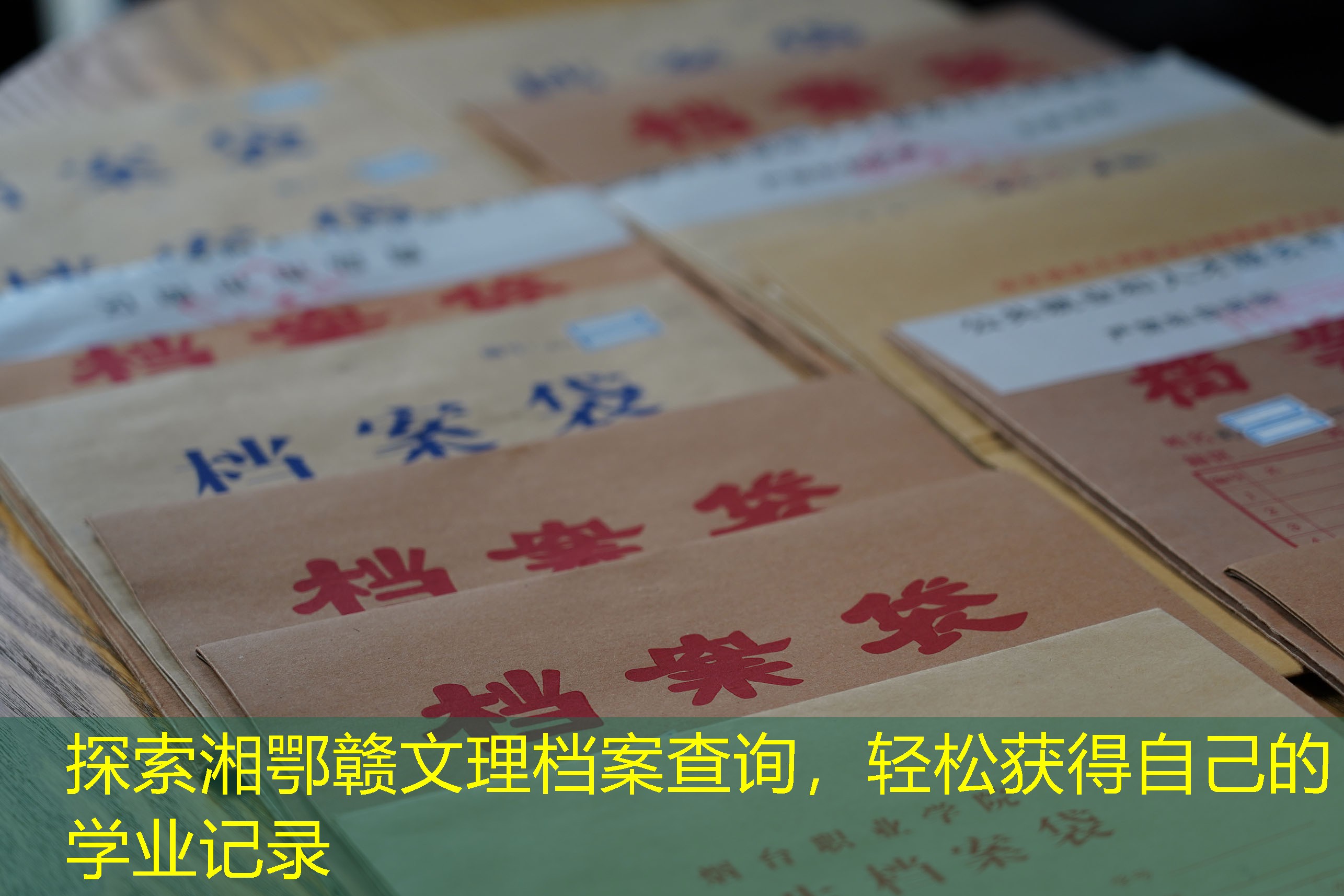 档案查询
